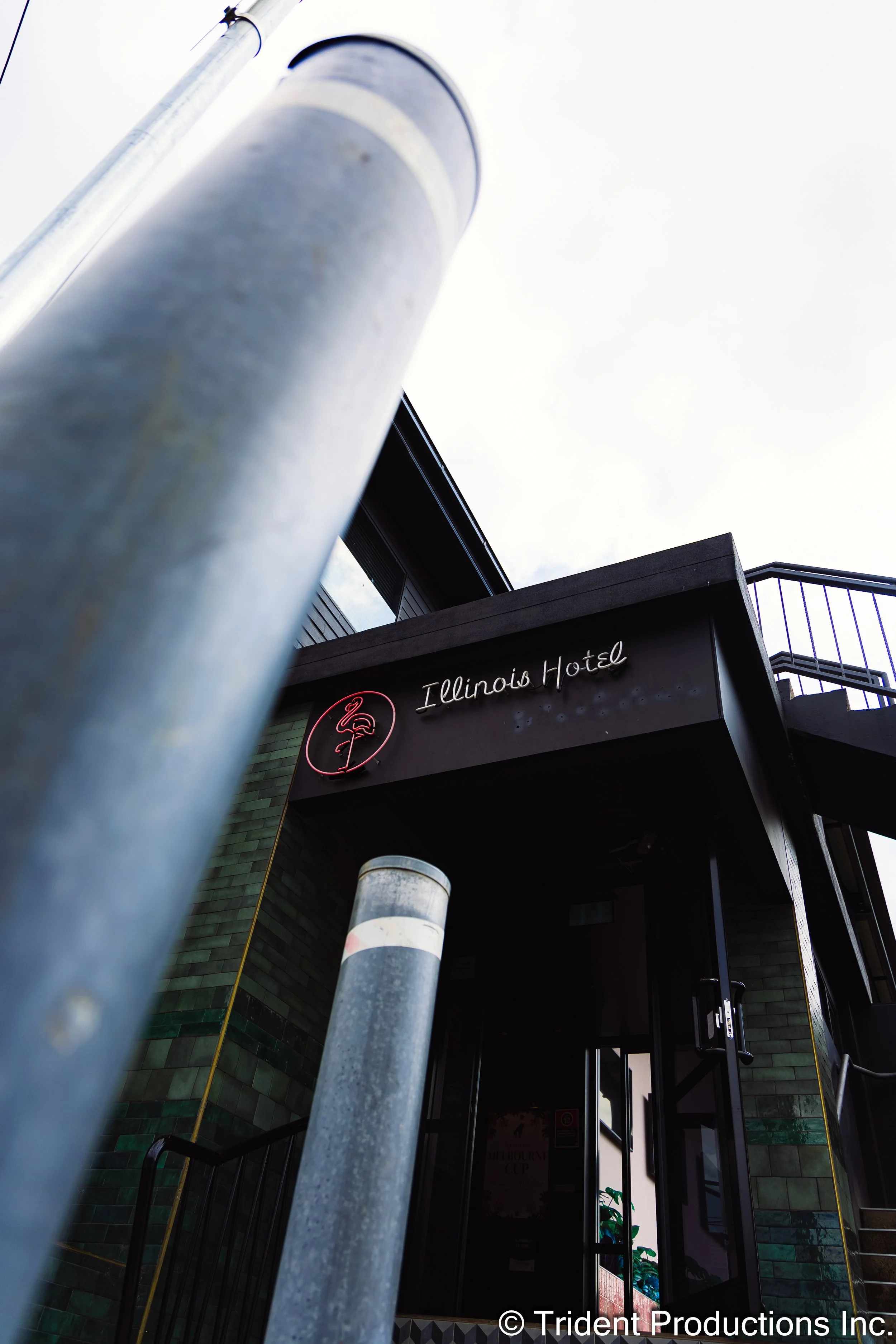 Low angle view of a building entrance with a sign that reads "Illinois Hotel" and a neon flamingo logo, with parking lot poles in the foreground.