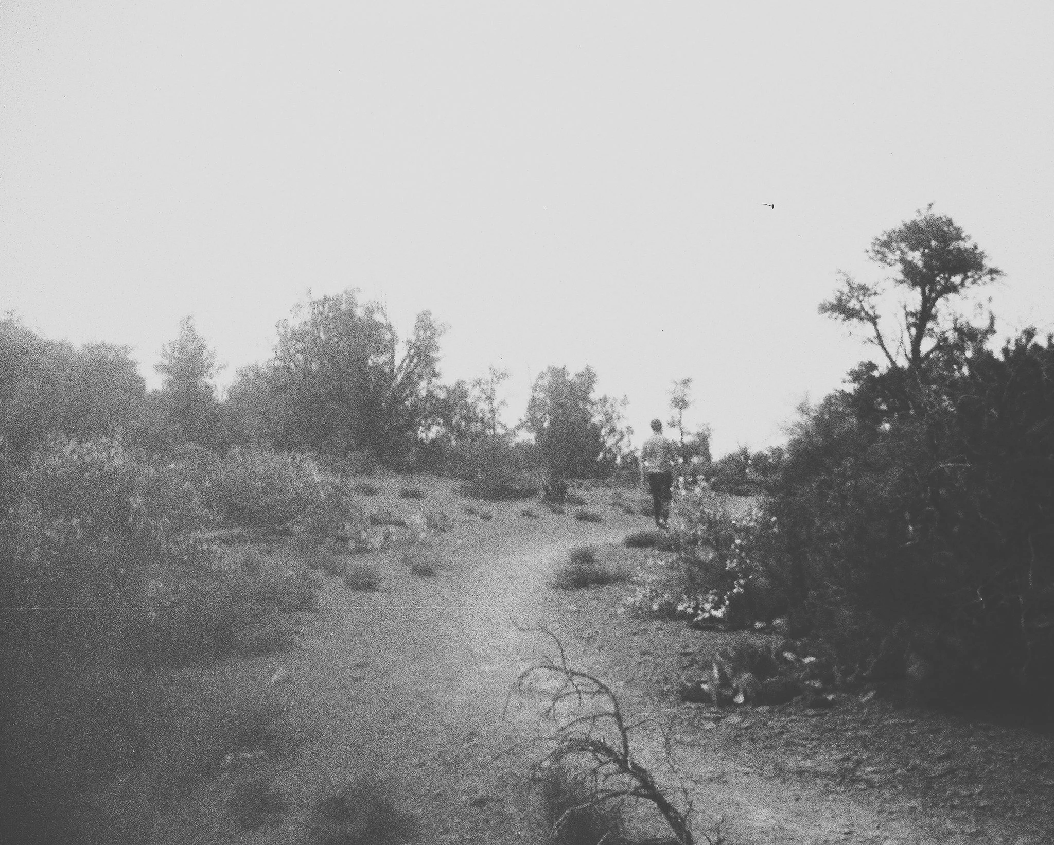 26589973129_8c9afeda0c_k.jpg