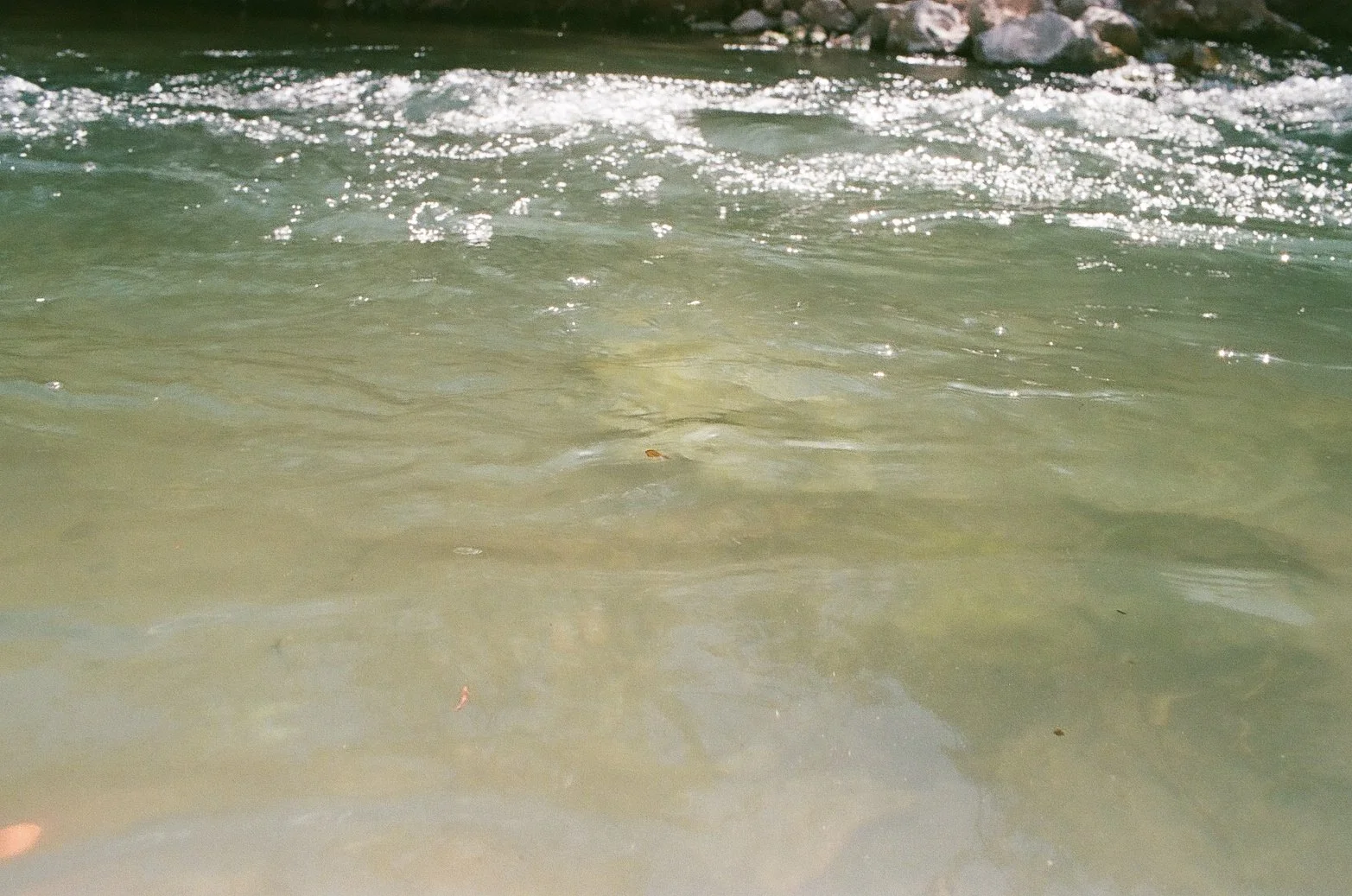CANON000348790033.jpg
