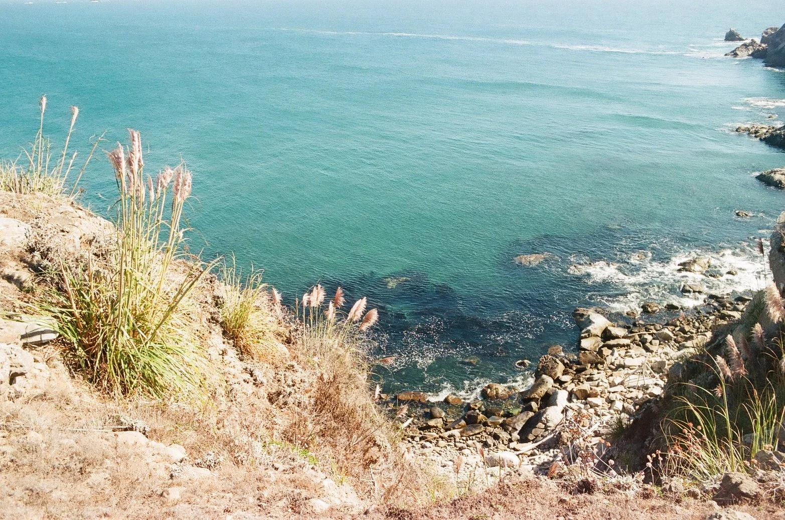 CANON000348790006.jpg