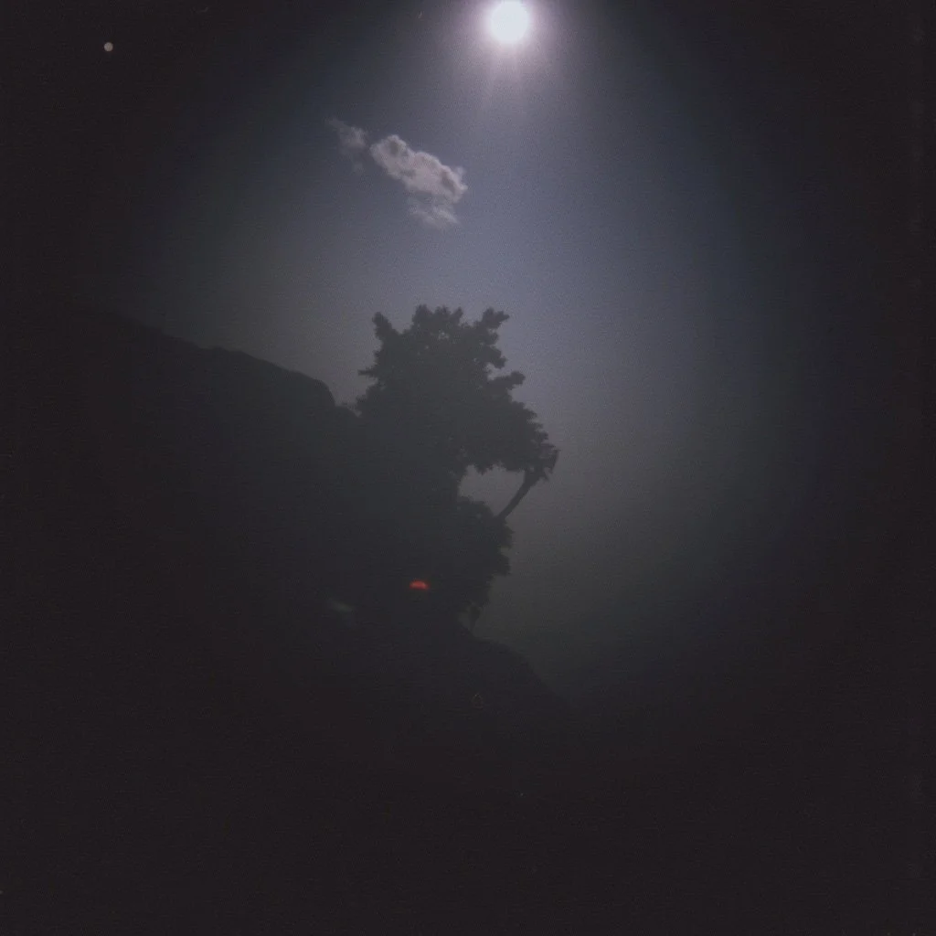 Nature Silhouette.jpg