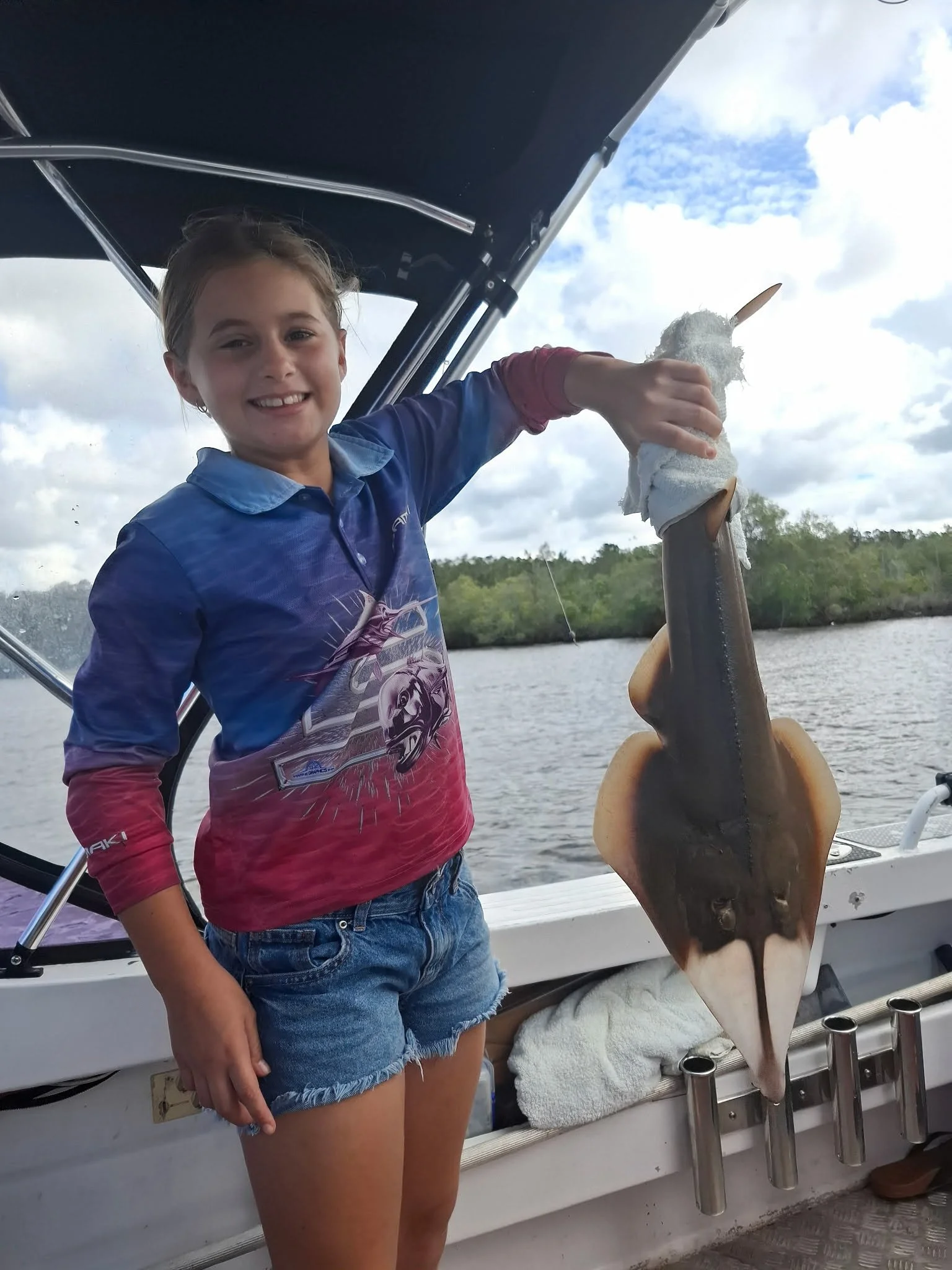 Shovelnose Ray - Sunshine Coast Fishing Club