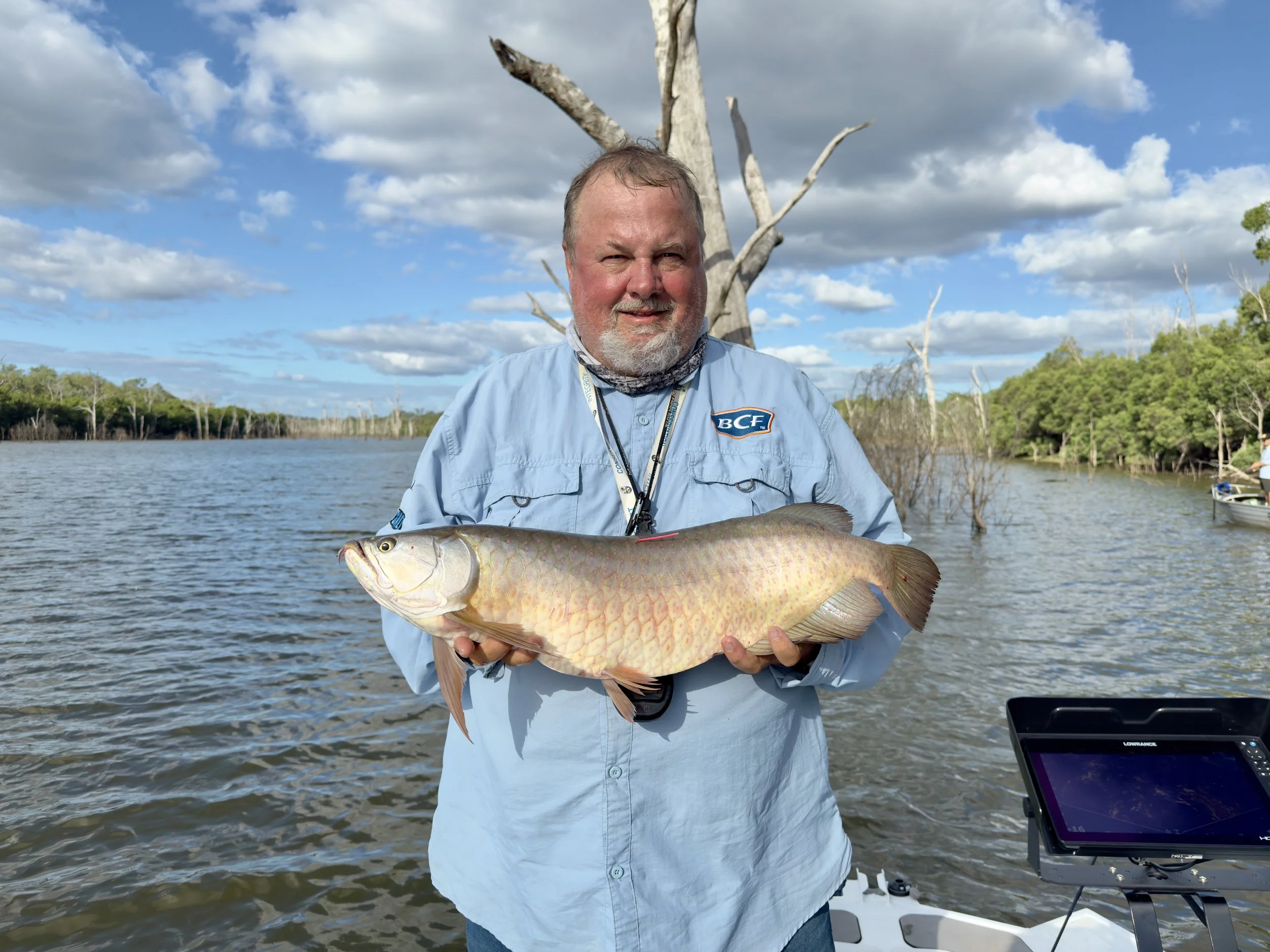 100 Trophy sized Saratoga