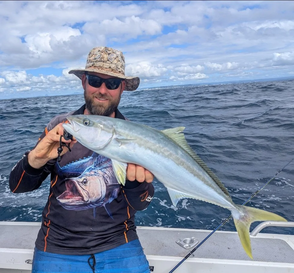 Yellow Tail Kingfish - SCSFC