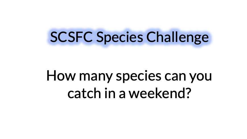 SCSFC - Species Challenge