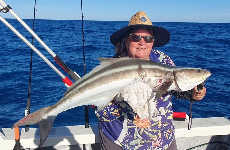 Sunshine Coast Sportfishing - Cobia