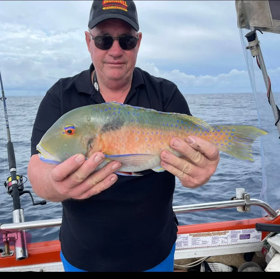 Venus Tusk Fish - SCSFC