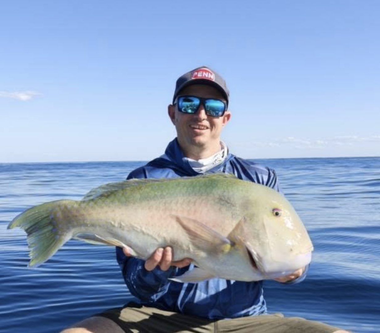 Tuskfish - Sunshine Coast Fishing