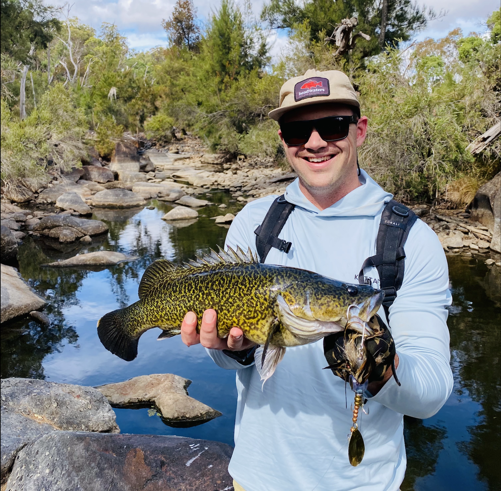 Murray Cod - Sunshine Coast Fishing Club