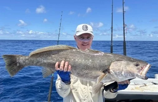 Sunshine Coast Sportfishing - Mulloway