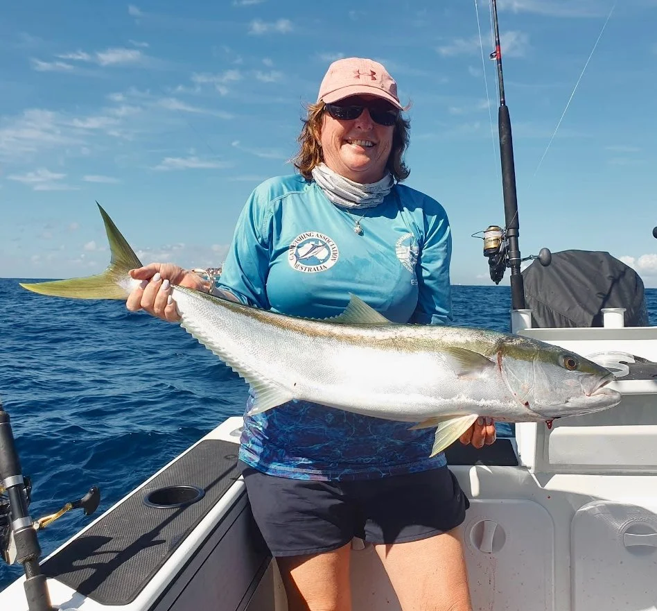 Yellowtail Kingfish