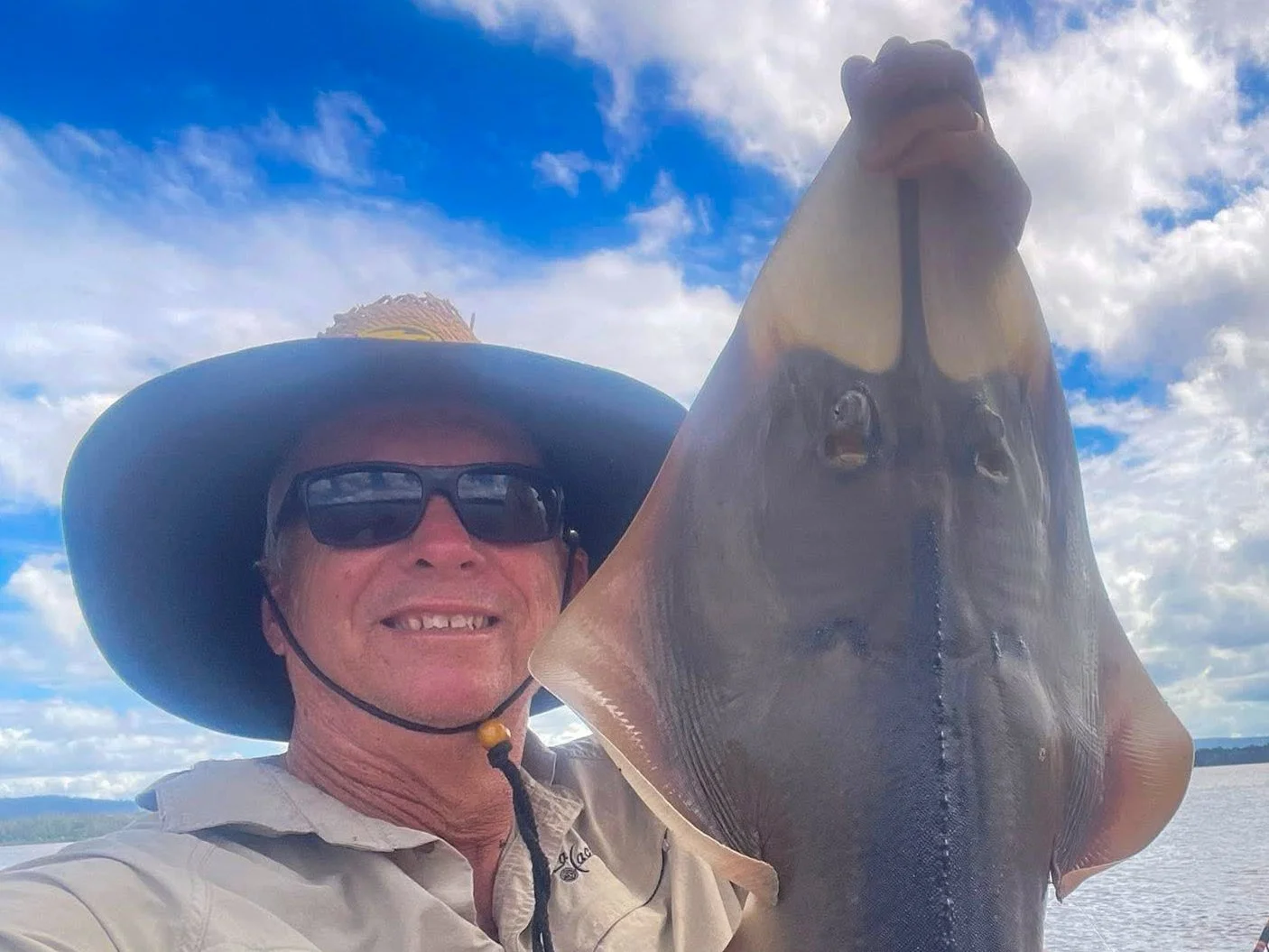 Shovelnose Ray - Fishing Club Sunshine Coast