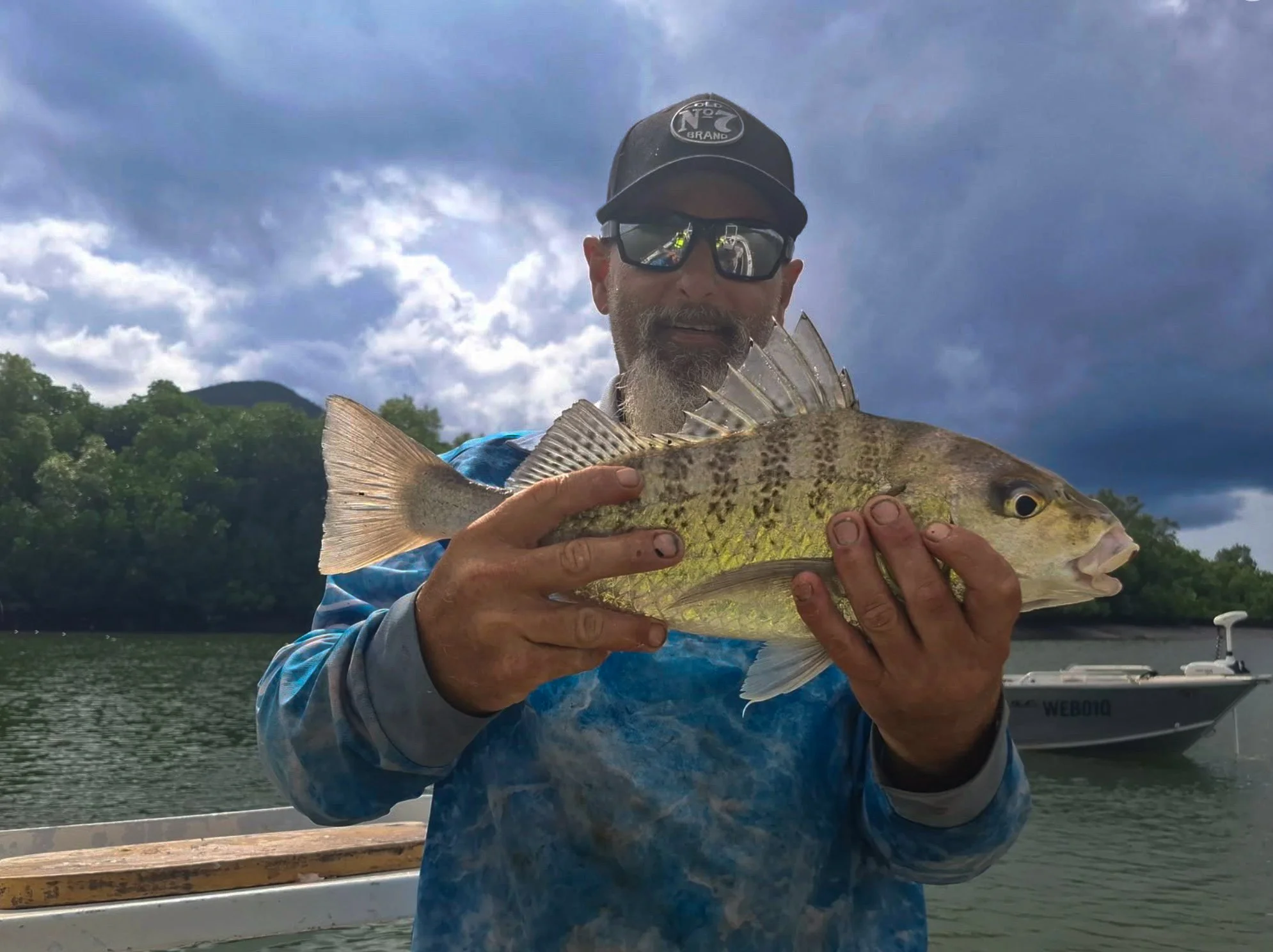 Javelin fish - Barred Sunshine Coast
