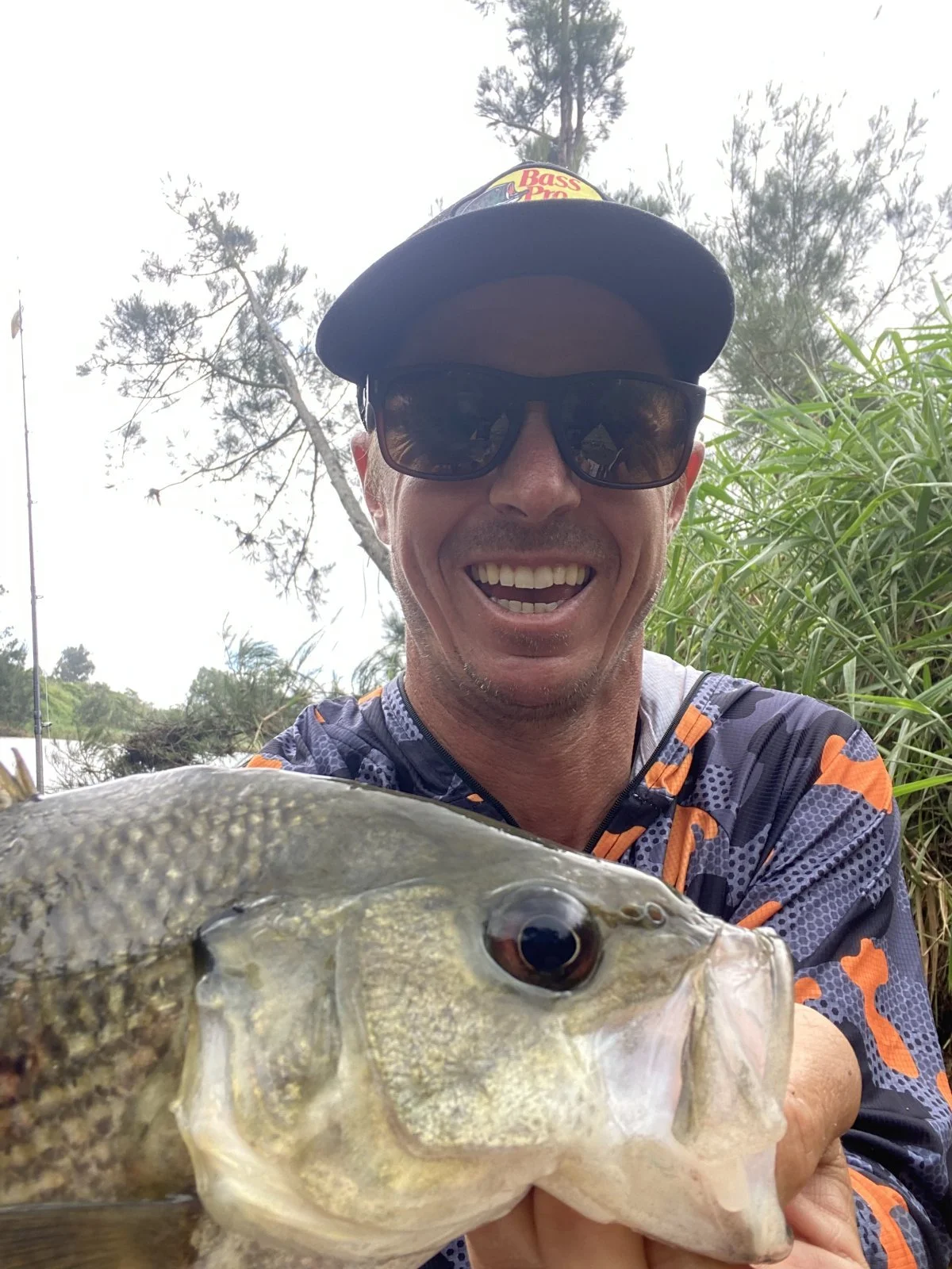 Bass - Sunshine Coast Fishing Club