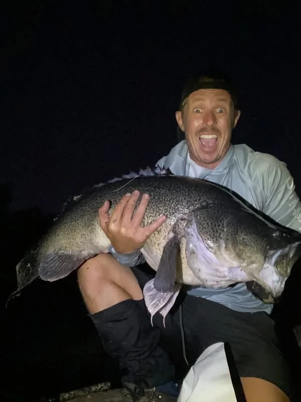 Murray Cod - Fishing Club Sunshine Coast