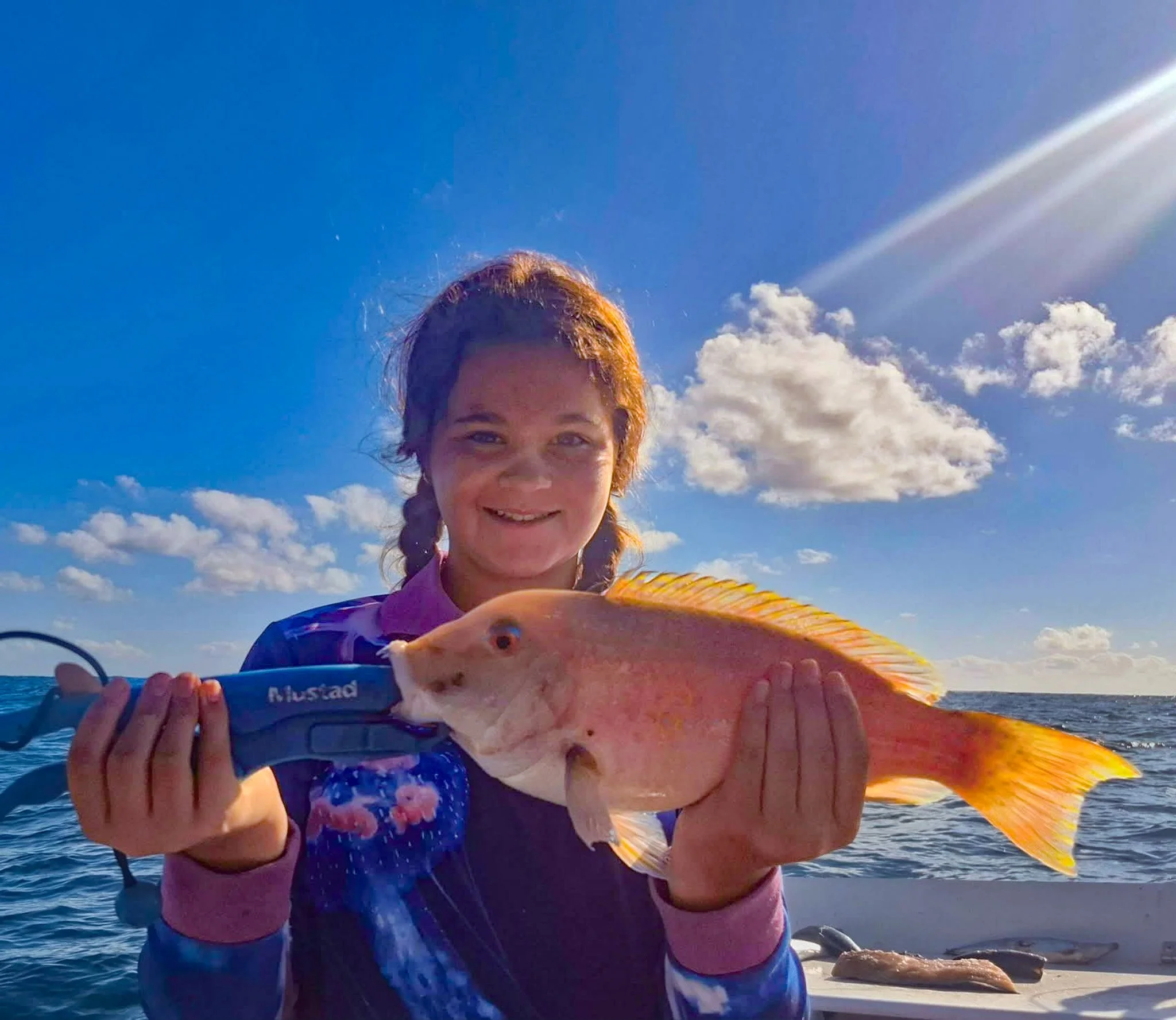 Venus Tusk Fish - Sunshine Coast Fishing