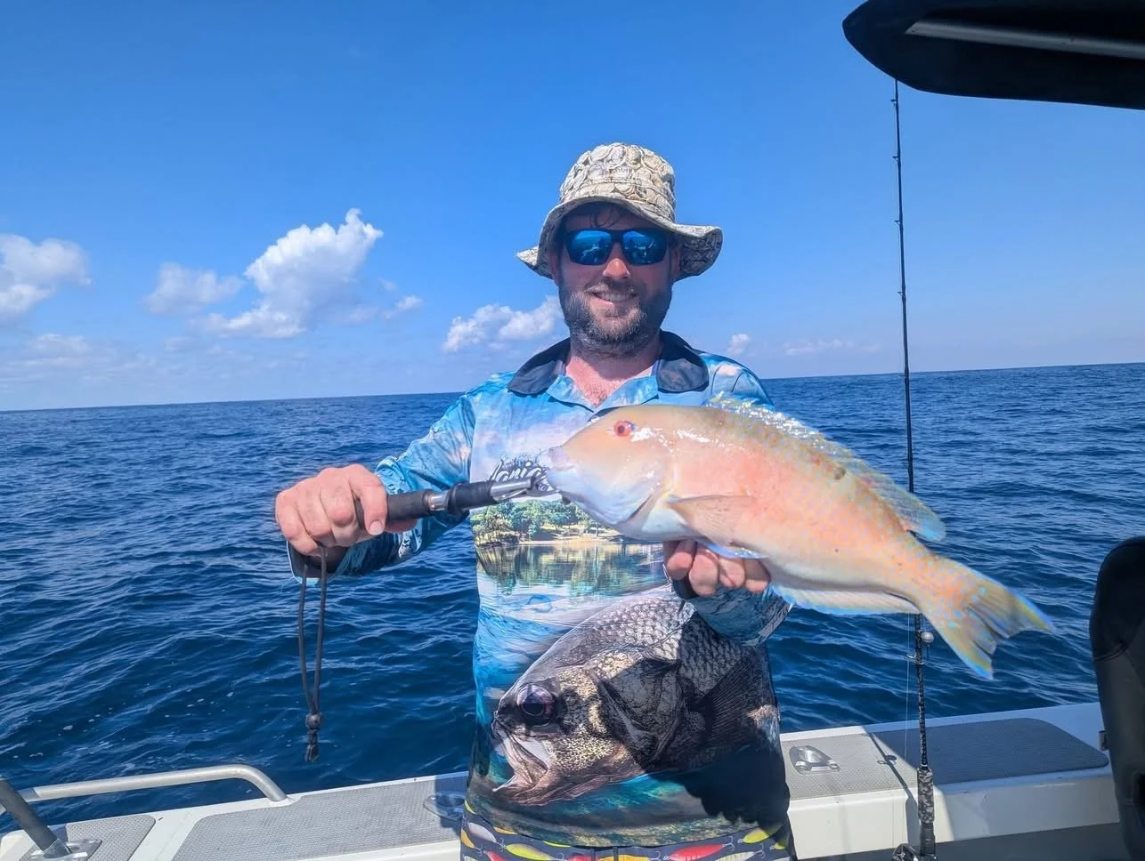 Venus Tusk Fish - Sunshine Coast