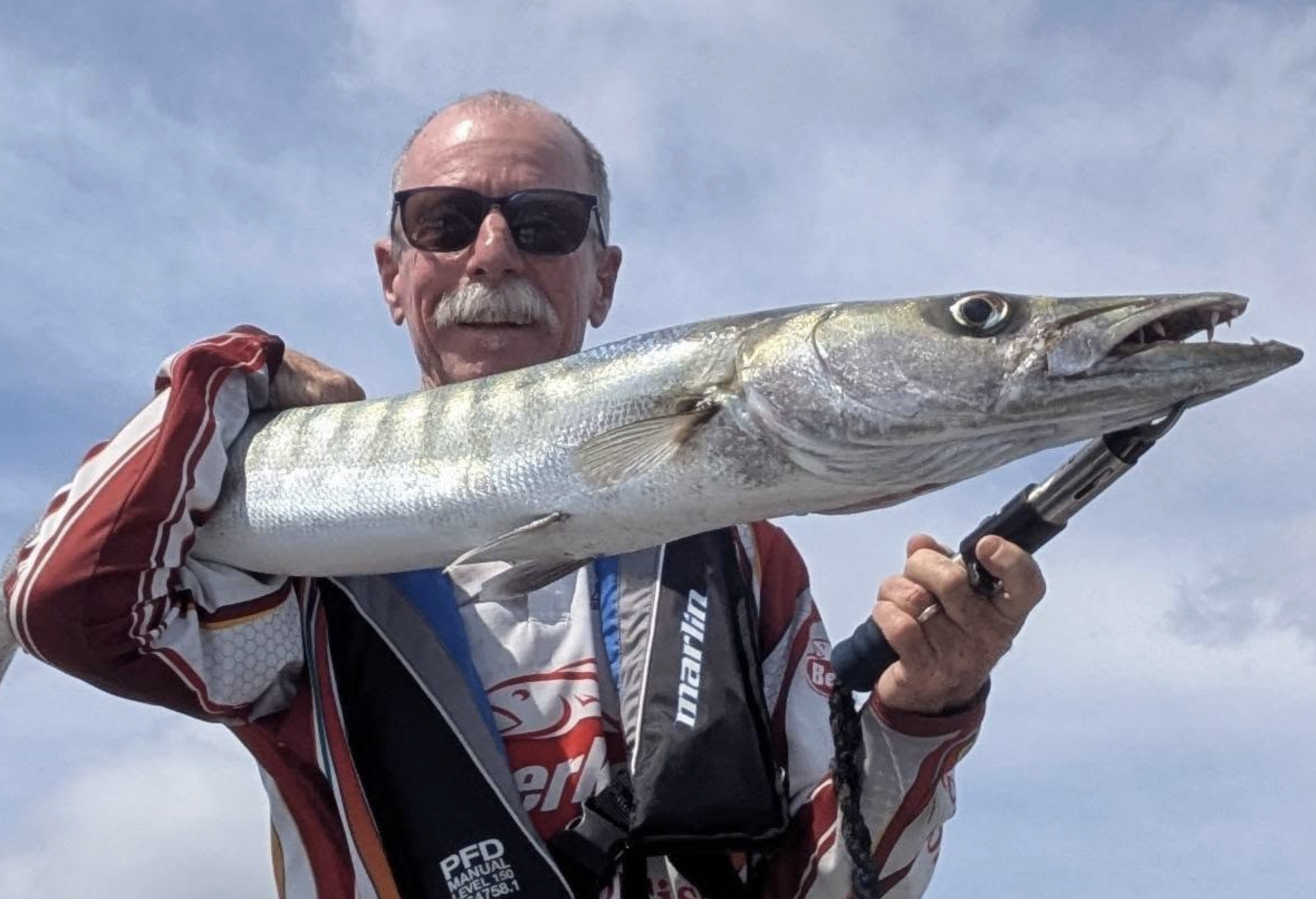 Barracuda - Sunshine Coast