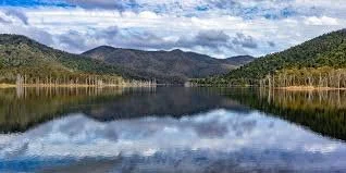 Sunshine Coast Fishing Club - Borumba Comp