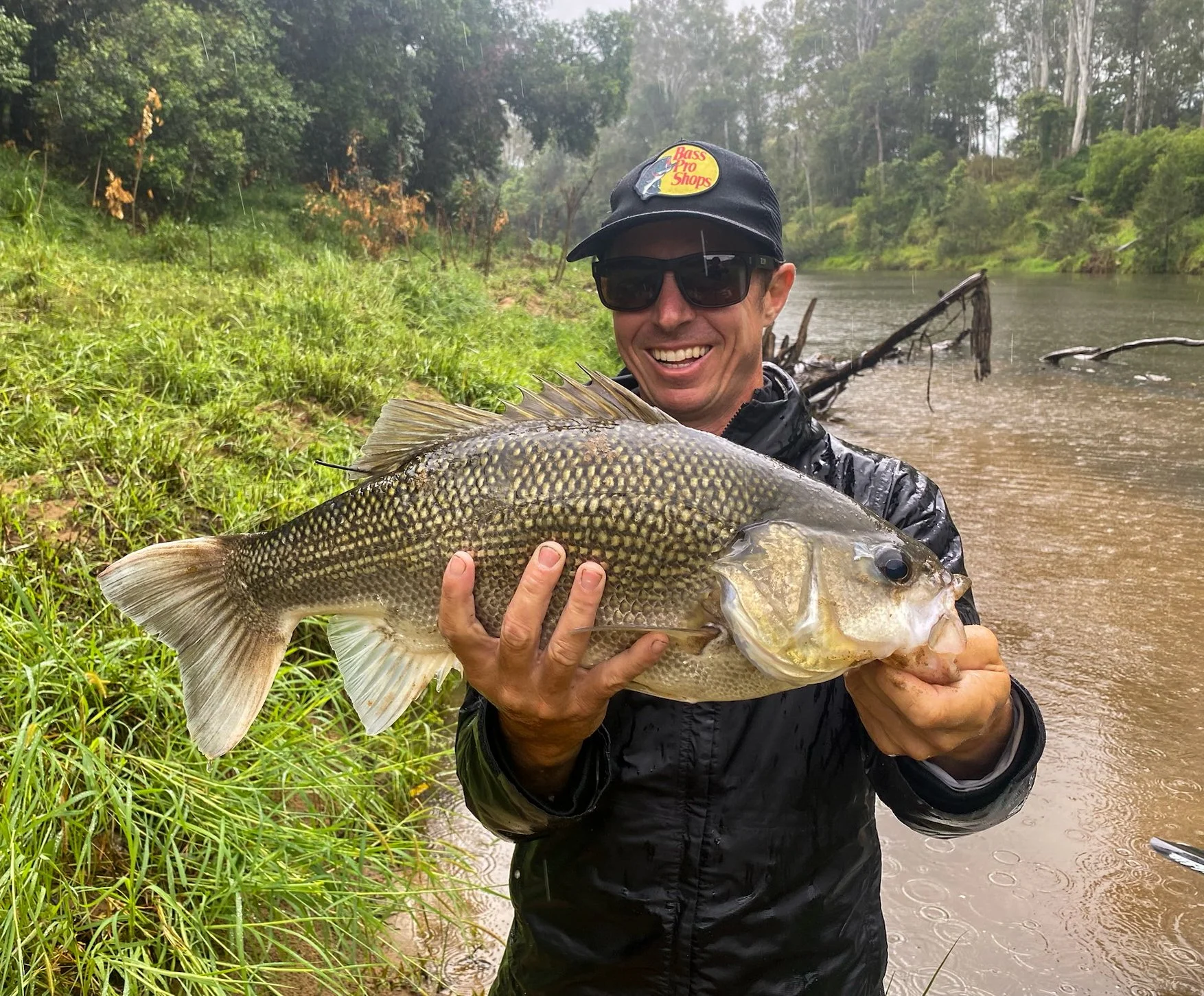55cm Bass - Sunshine Coast Sportfishing