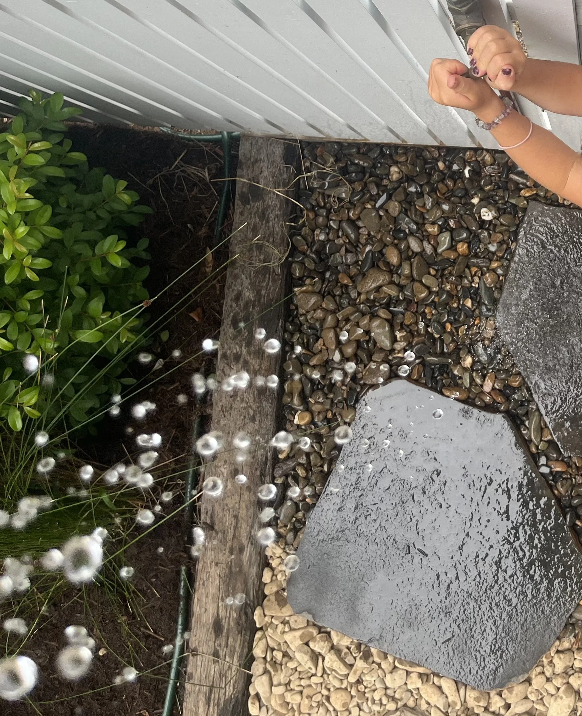 Byron Bay Landscape, Beautiful trees, Xanthorrhoea, Lennox, Turf, Sleepers, Edging, Timber screen, White fence, Privacy screening, recycled timber, Outdoor shower, Paving, landscape furniture, River pebble,  Wellness space, landscape Design.