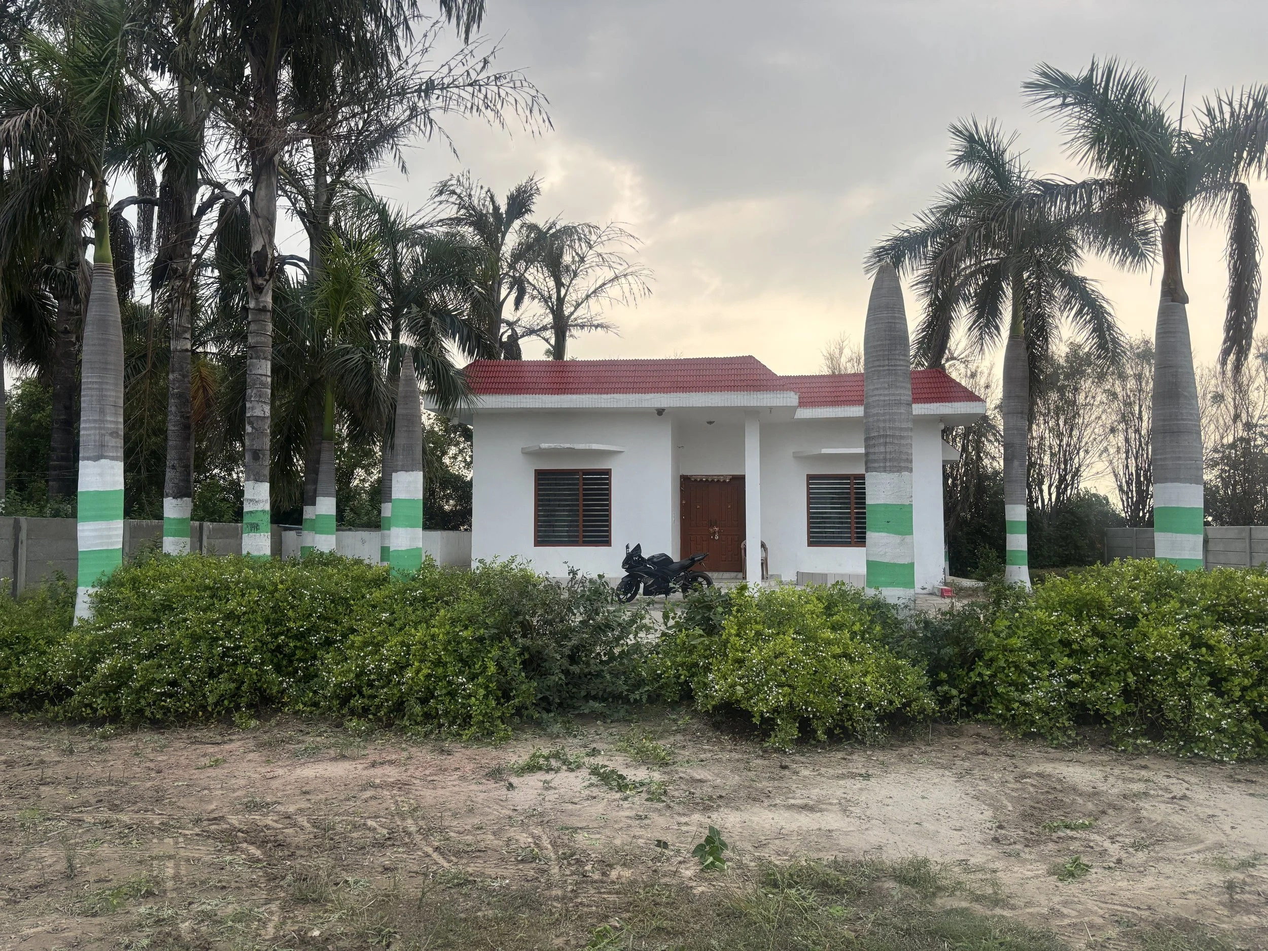 White house with red roof, surrounded by palm trees with painted trunks and green bushes in front, a motorcycle parked near the entrance.