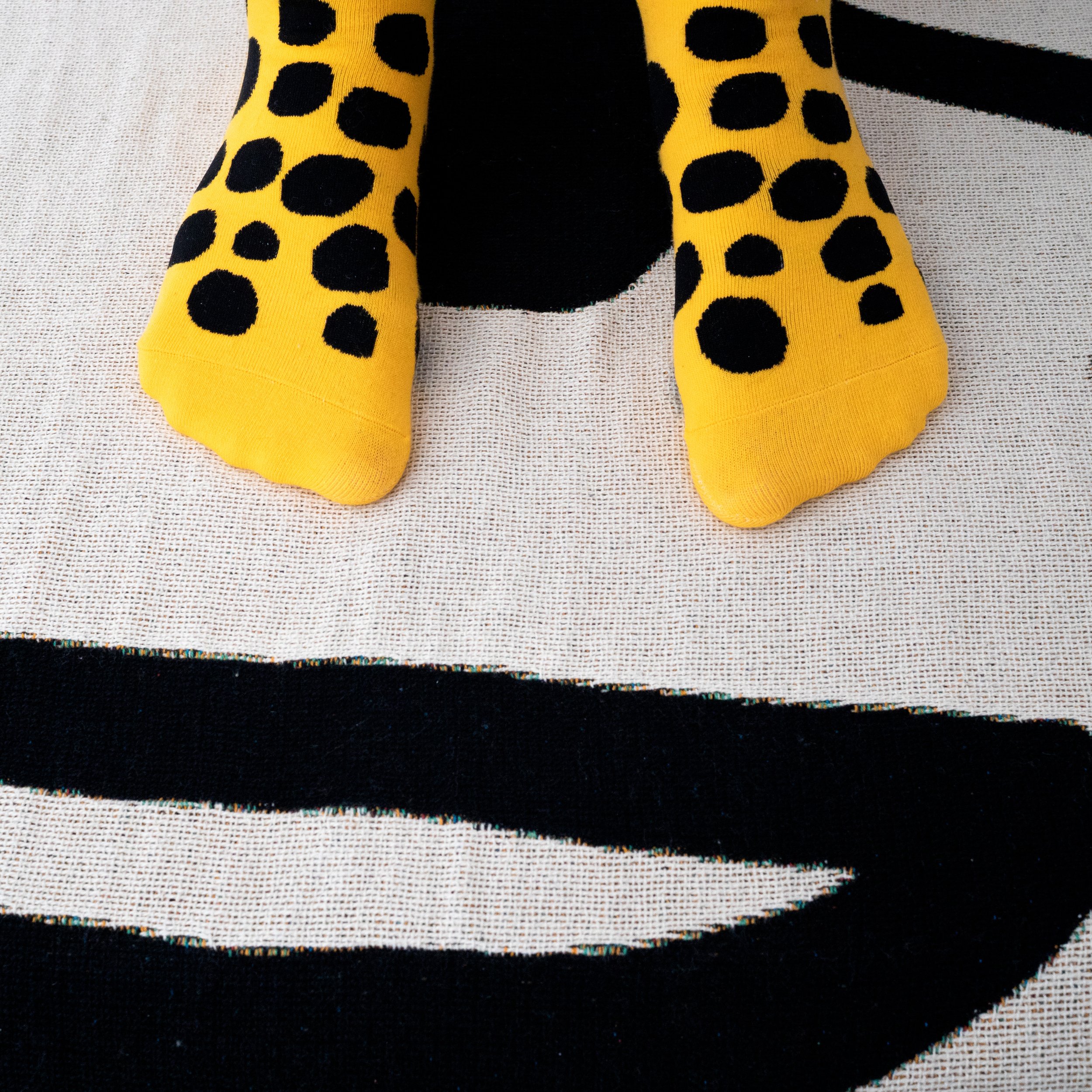 Leopard-Yellow_K9A0944-squareCrop.jpg