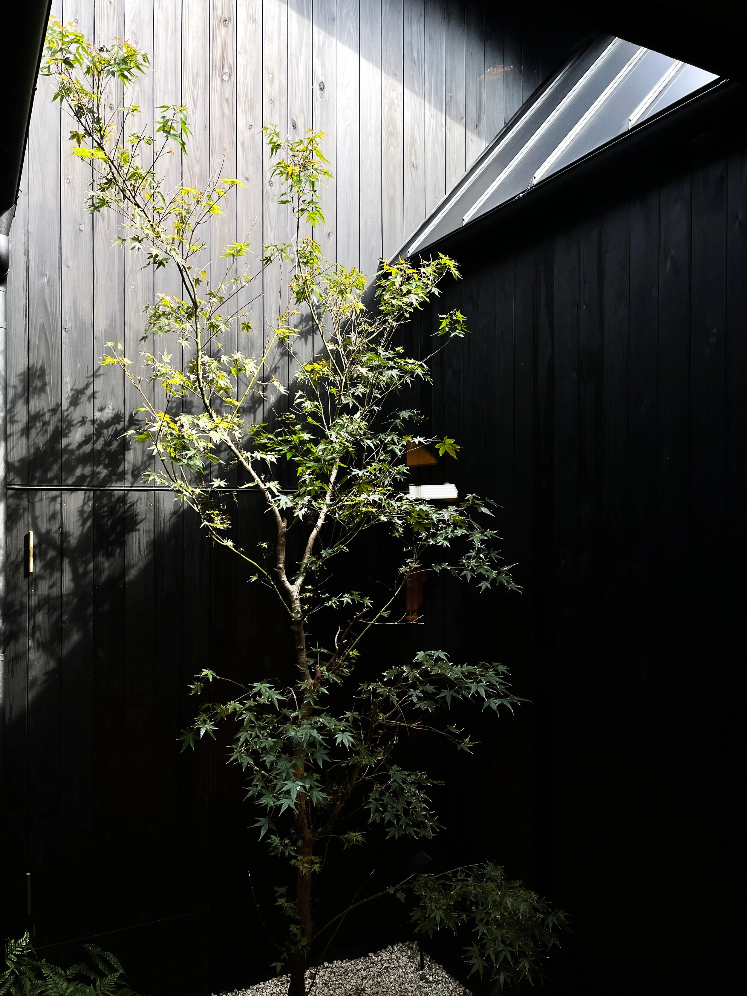 Chikuhou-Kaiseki-25.jpg