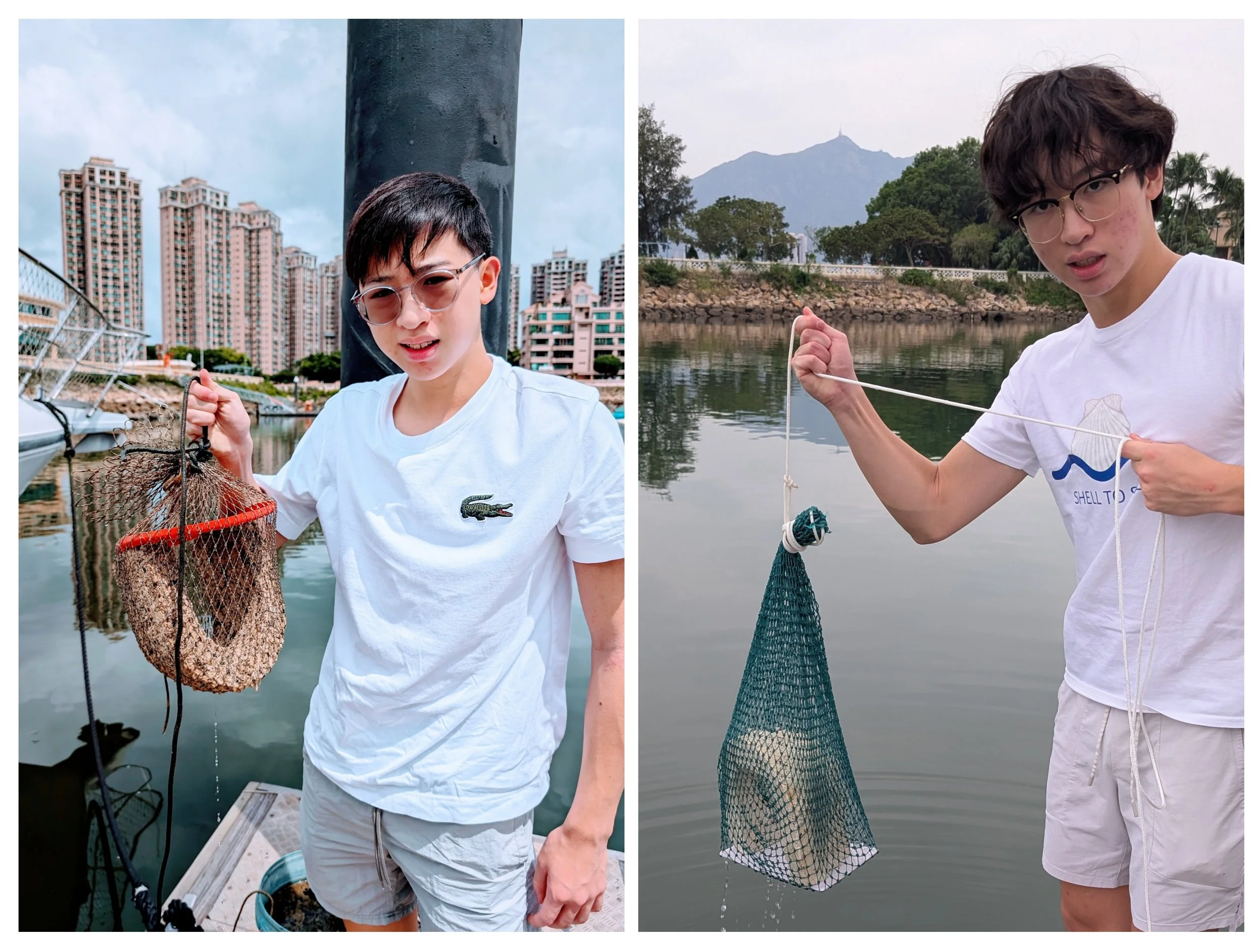 Experimentation and observation continues after 3 years!!