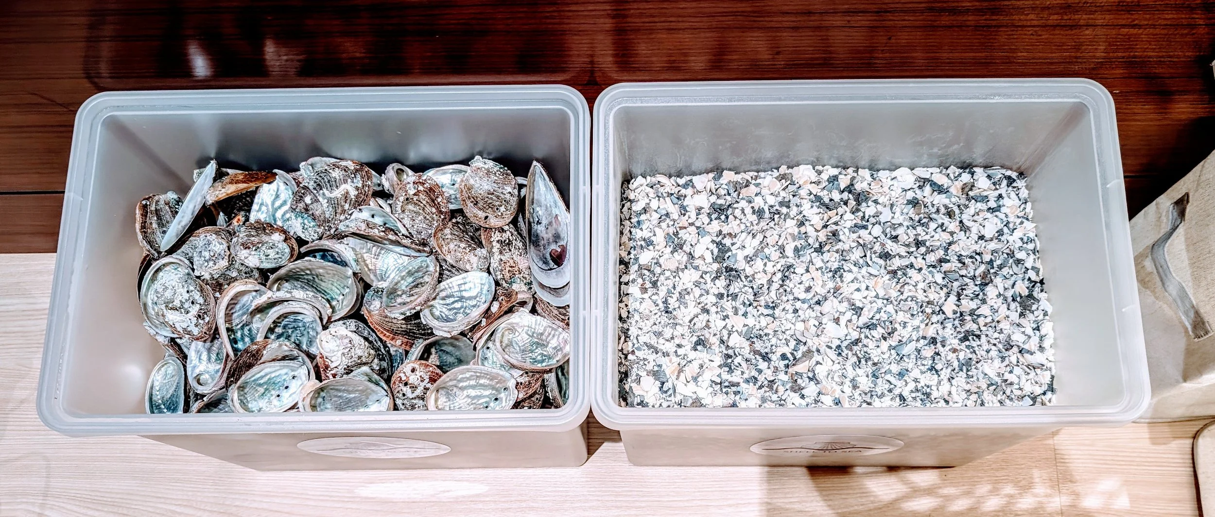 From Shells to Shell Powder