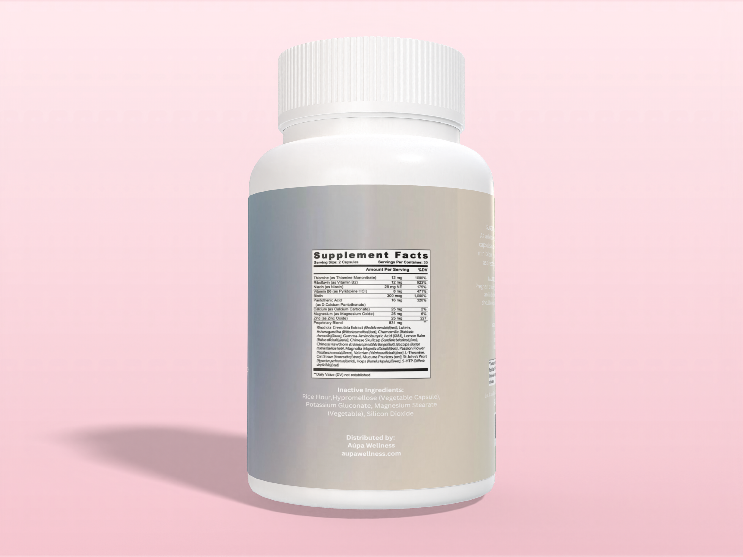 Render_Mockup_4000_3000_2024-08-01.png