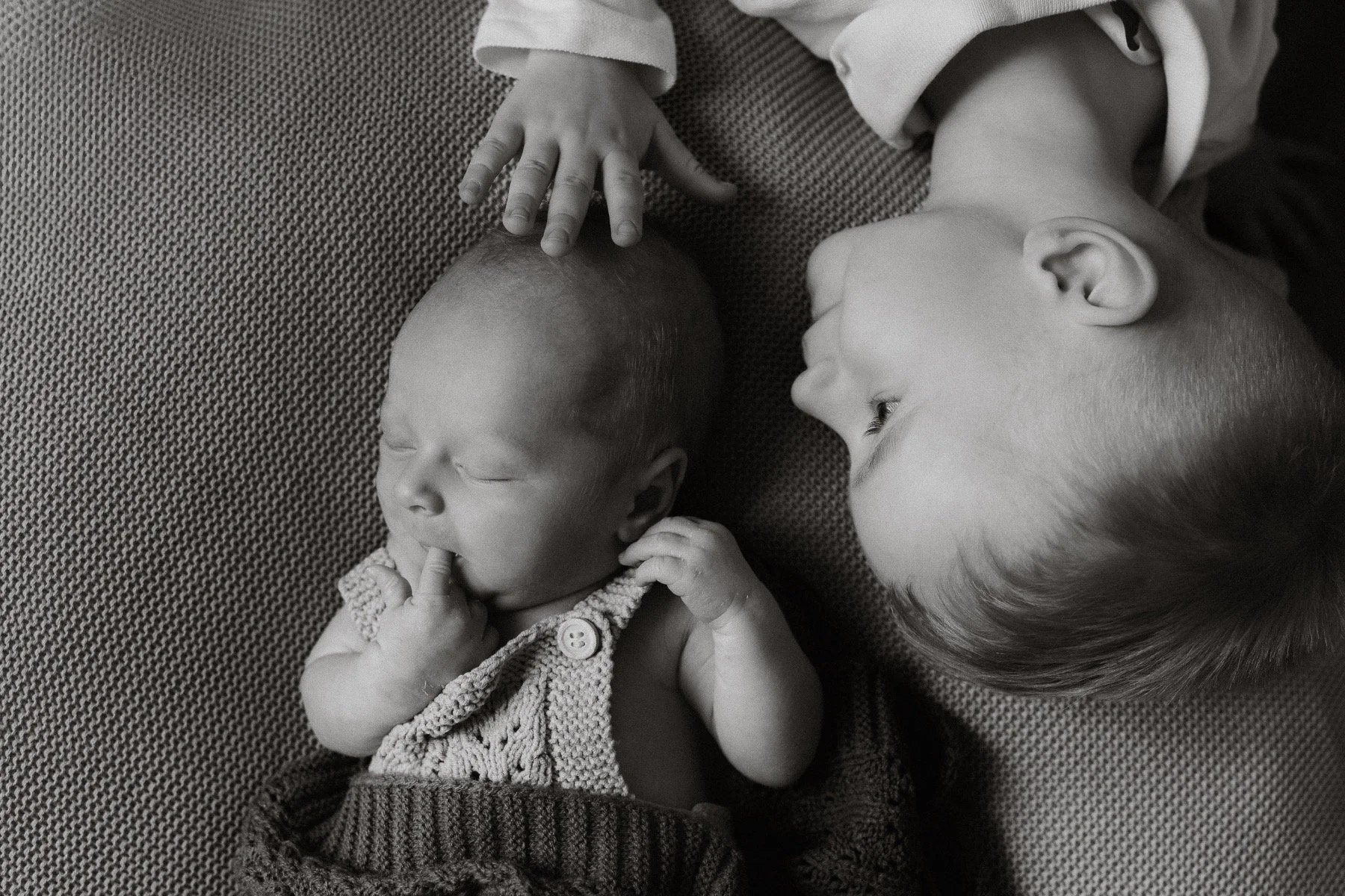 newborn-foceni