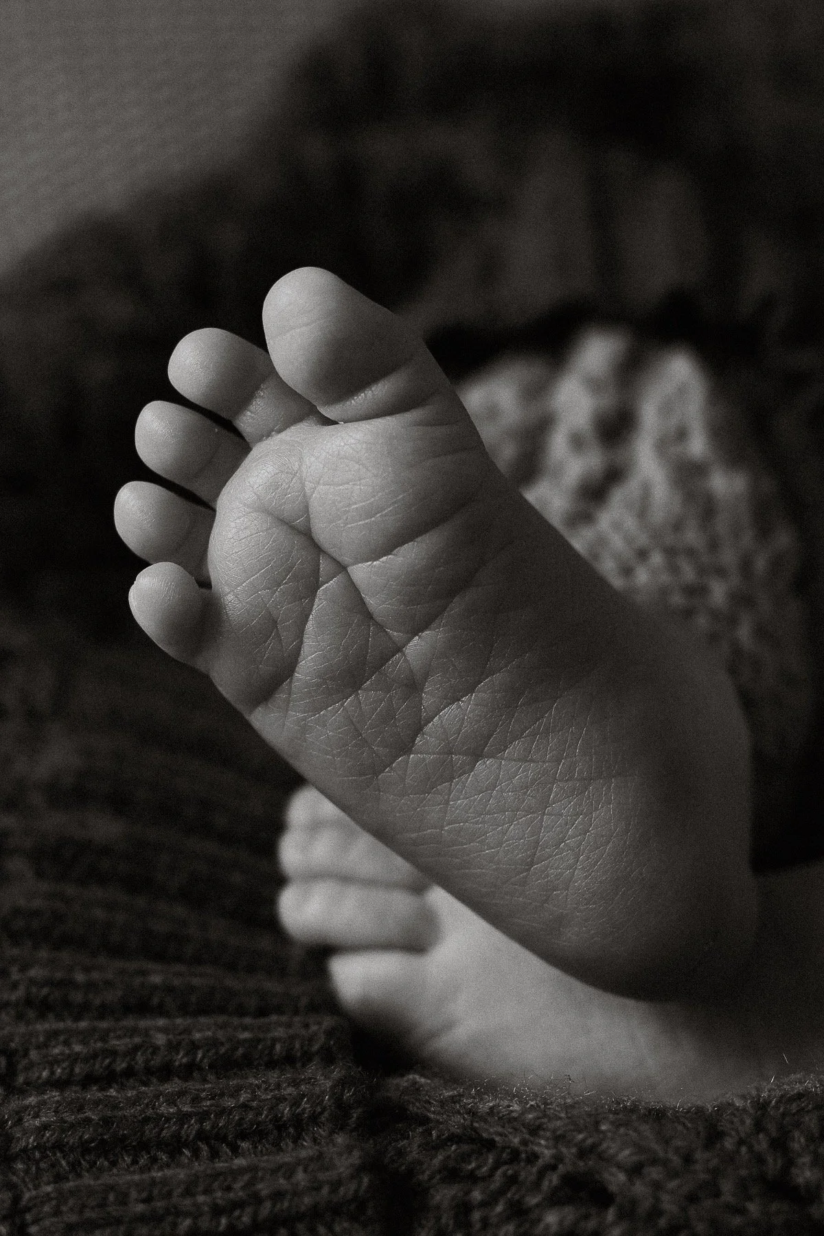 newborn-foceni