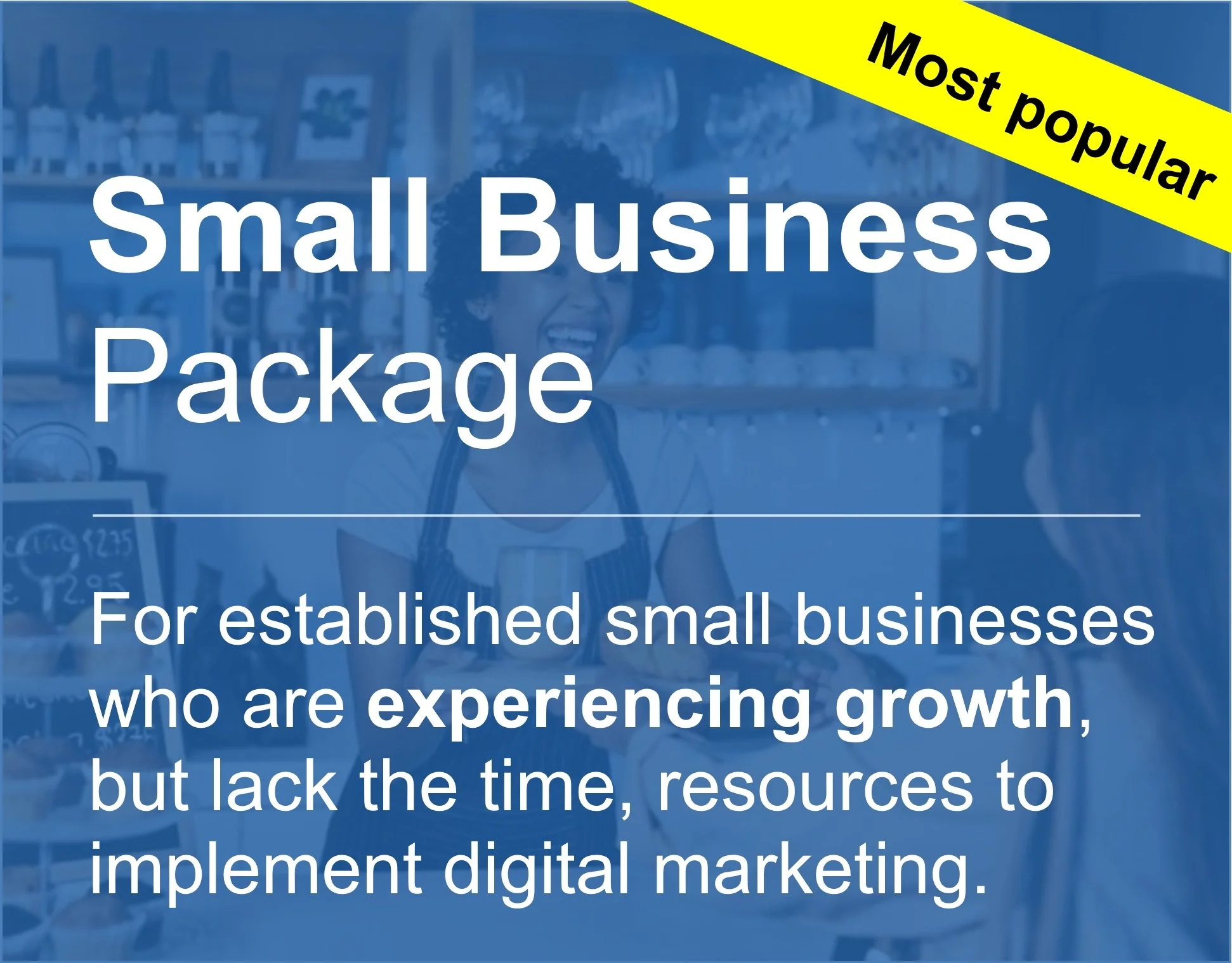 A promotional banner for a Small Business Package, labeled as the most popular option, aimed at established small businesses experiencing growth but facing resource challenges in digital marketing.