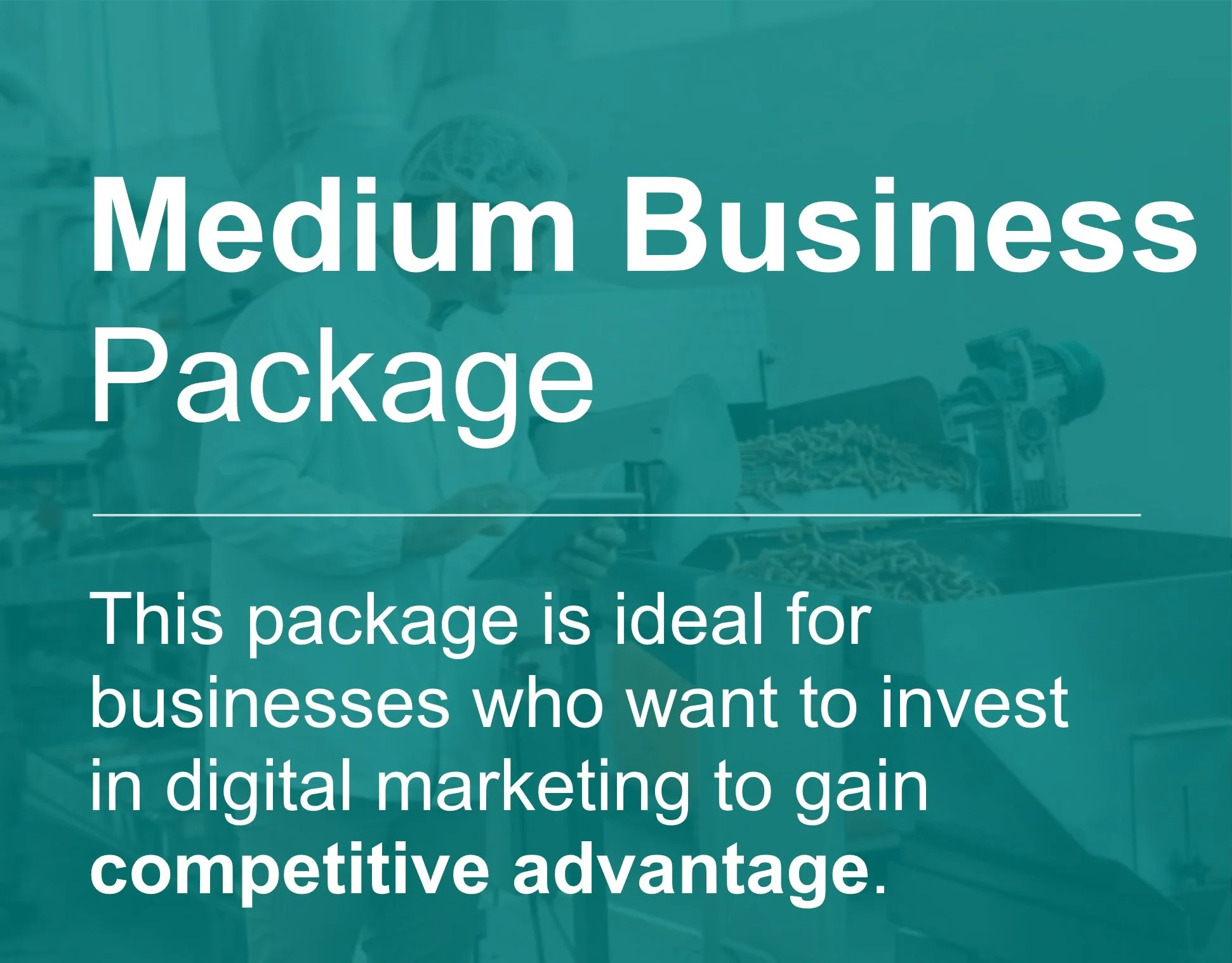 Text overlay on a teal background reads: "Medium Business Package." Additional text below states, "This package is ideal for businesses who want to invest in digital marketing to gain a competitive advantage."