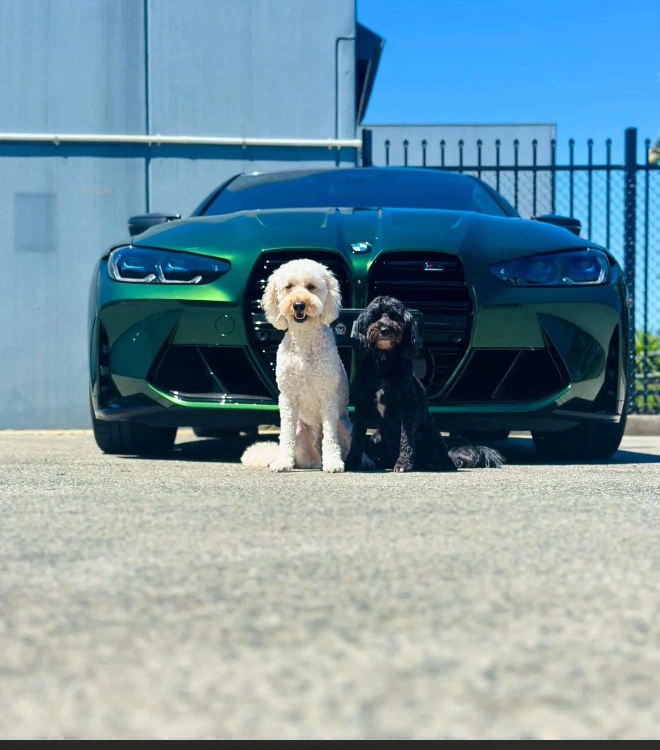 The Christmas crew 🥂🍾✨