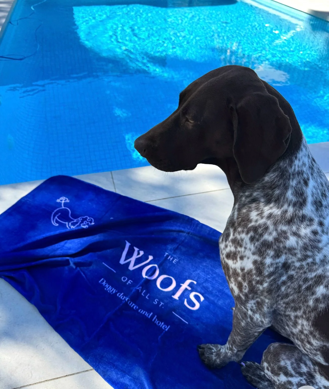 Bring ya towels ⛱️🦀🐳

We hope your long weekend is as Pretty and Fun as Quinn&rsquo;s 😬