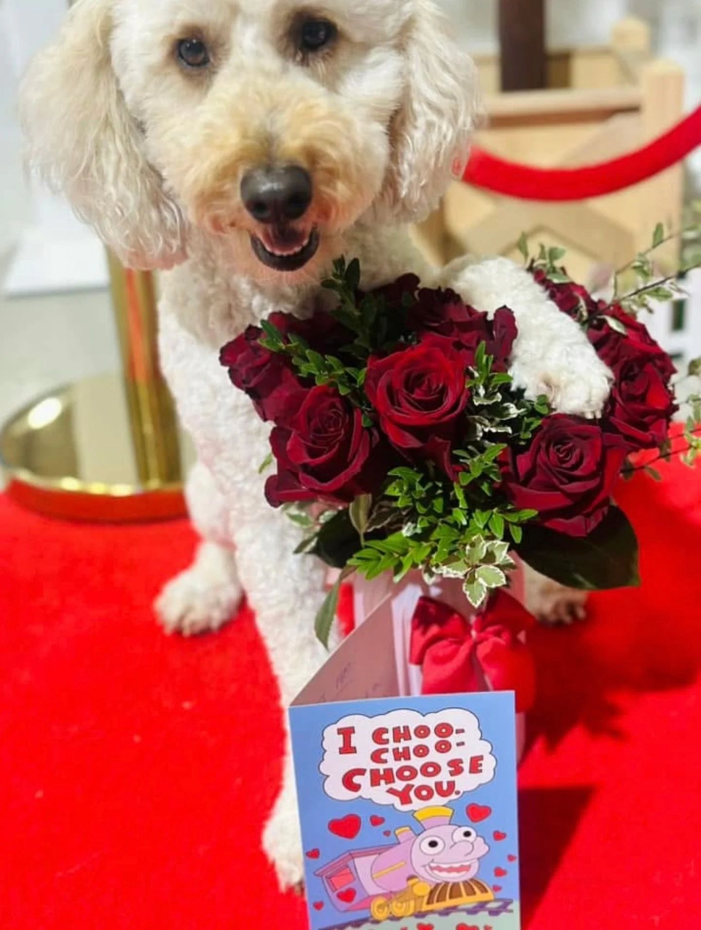 G&rsquo;day ladies &amp; Gents ❤️

It&rsquo;s Charles