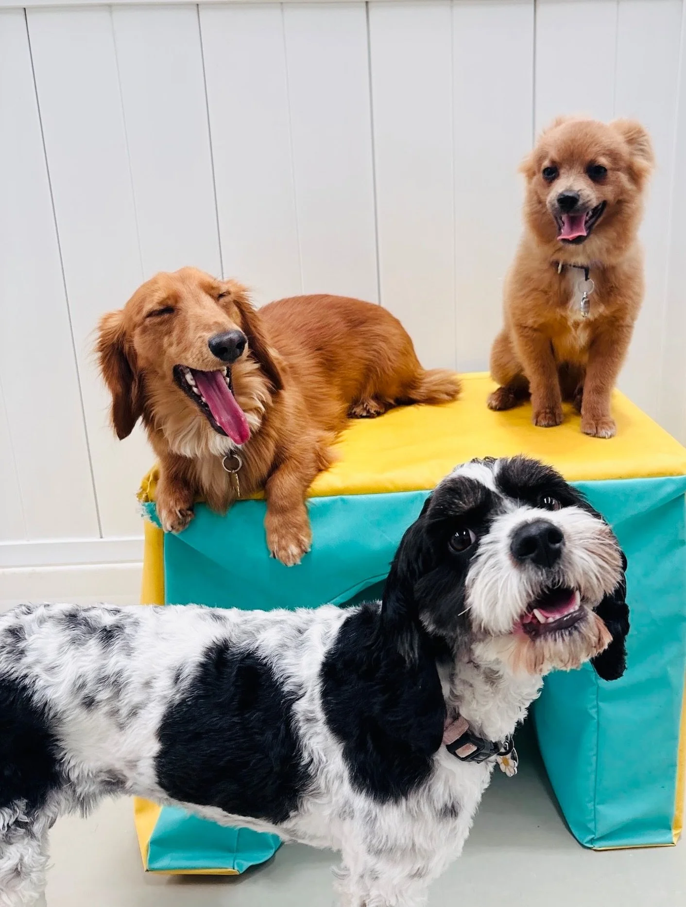 You had to be there 😂🤣