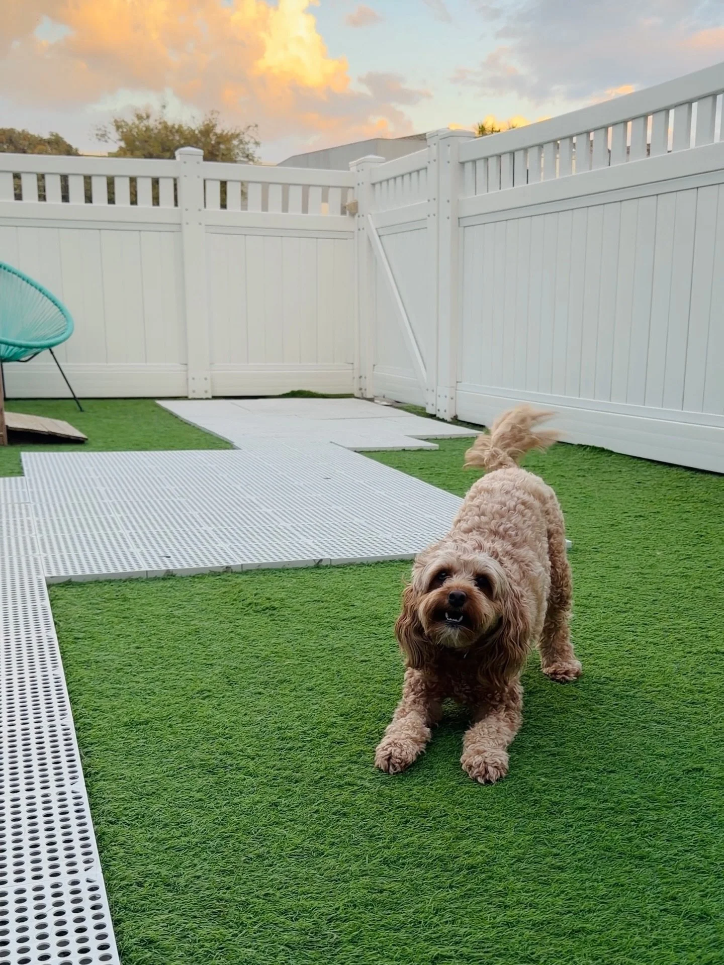 Sunrises before school ☀️