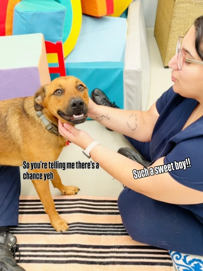 Interesting place this 🤣