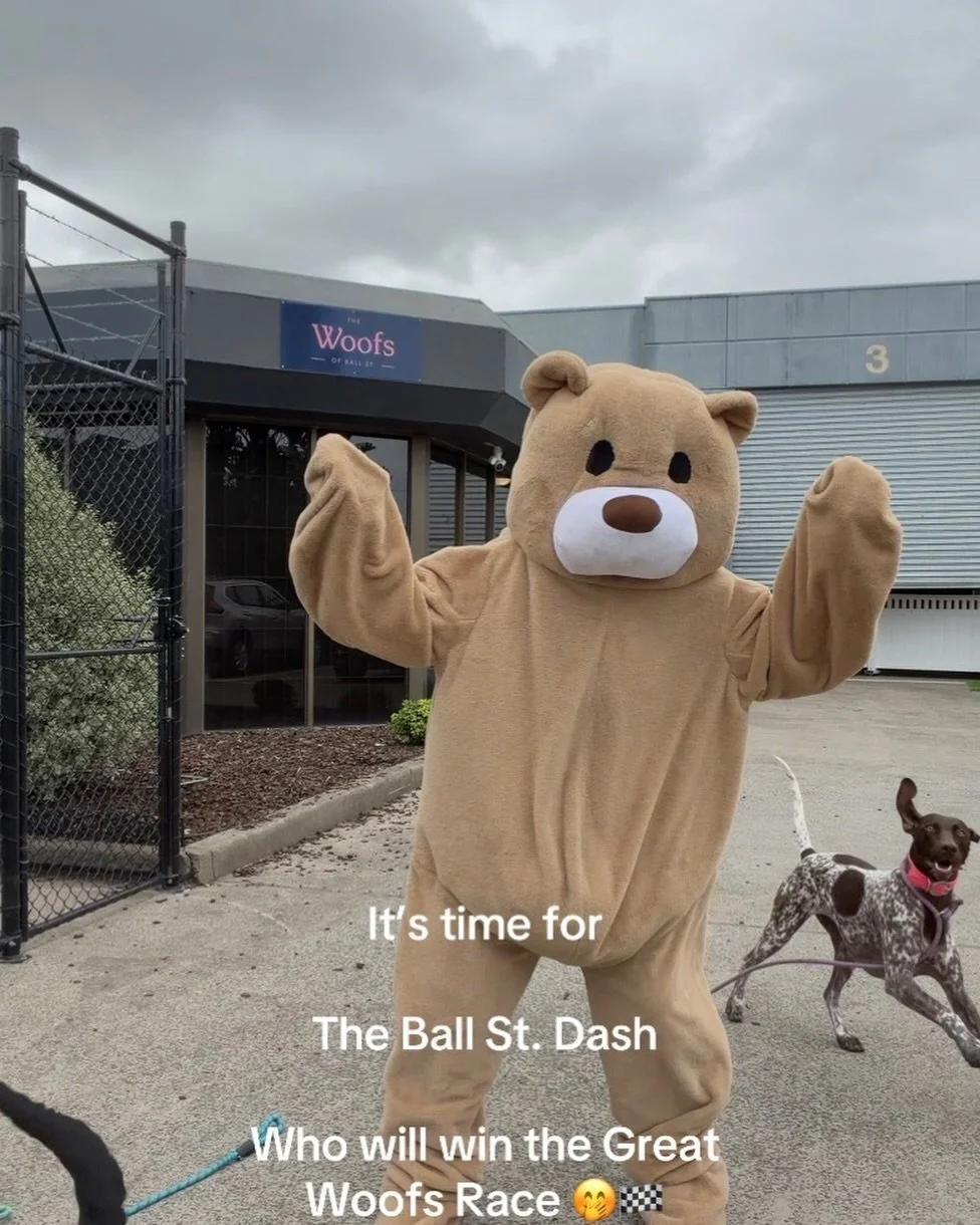 Quinn&rsquo;s face 😂🤣😂🤣😂