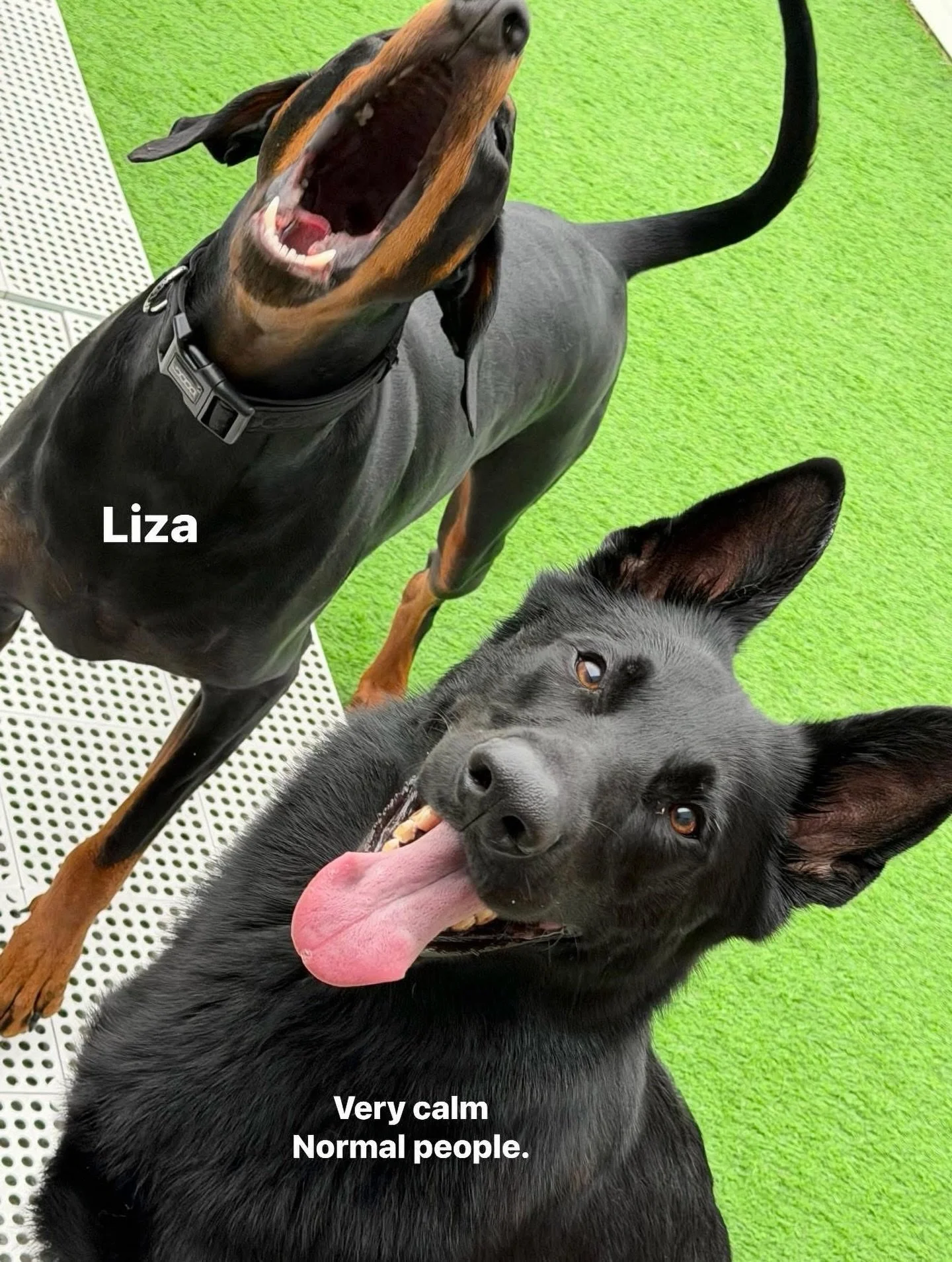 It&rsquo;s normal ✌️