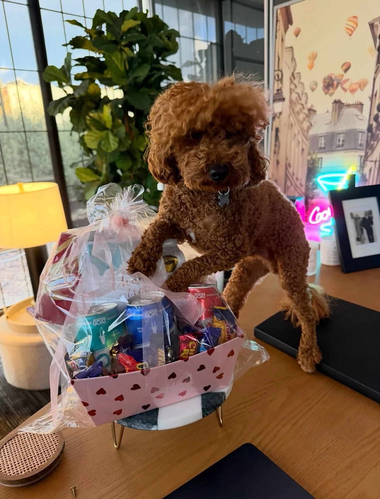 We&rsquo;re so grateful for every one of you who supports The Woofs 🐾

Archie&rsquo;s mum, Thao, had us completely in our feels with this beautiful gift celebrating his very first year with us 💛

Thank you for bringing the magic into our home 🩵