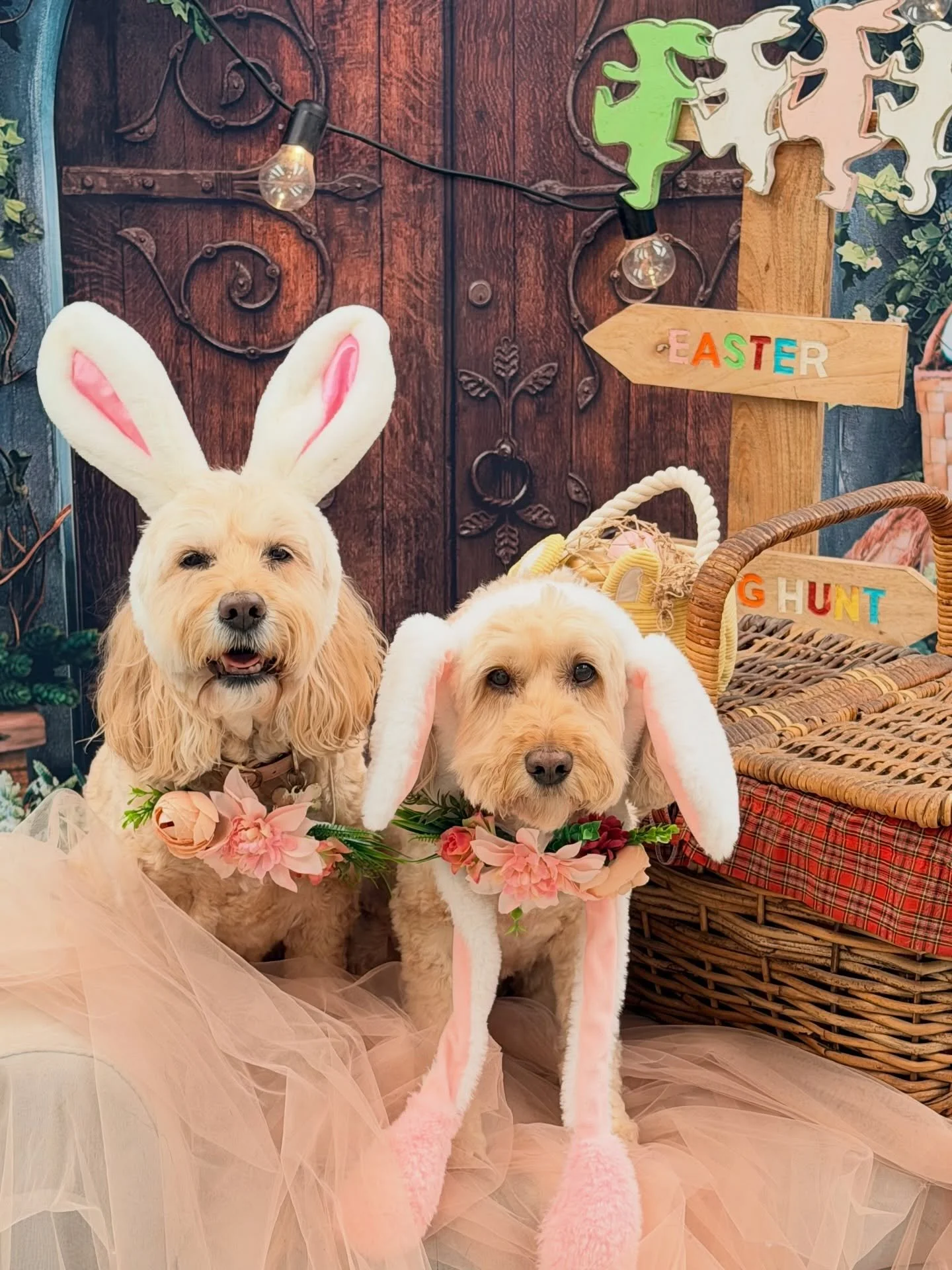 Khloe &amp; Ella 🎀🪺