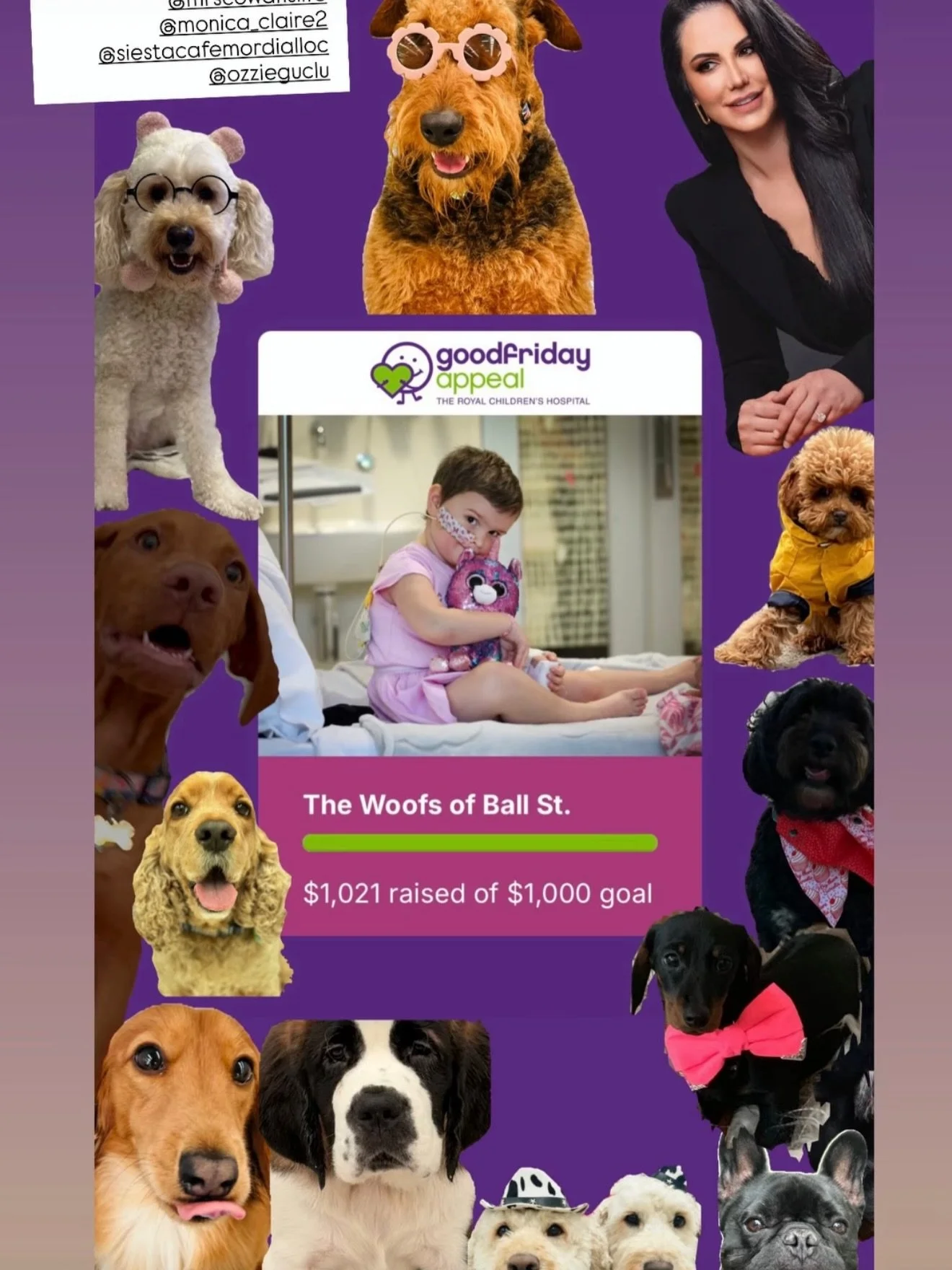 We did it 🐾✨

Because of our incredible daycare woof parents, we&rsquo;ve officially reached our Good Friday Appeal target.

Every booking, every share, every bit of support added up to something truly special &mdash; helping families who need it mo