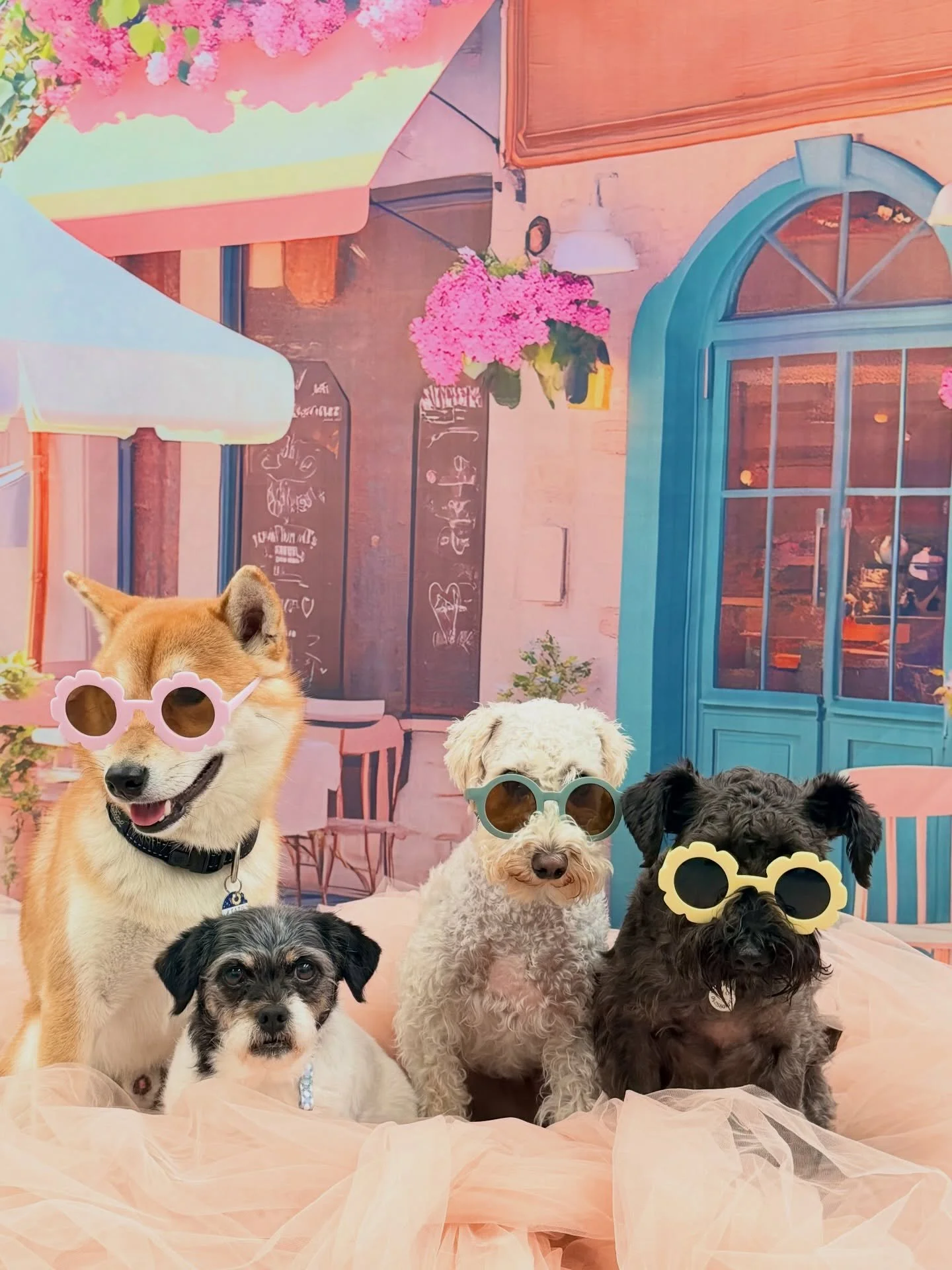 Kai, Ziva, Alvin &amp; Lottie 🩵💛