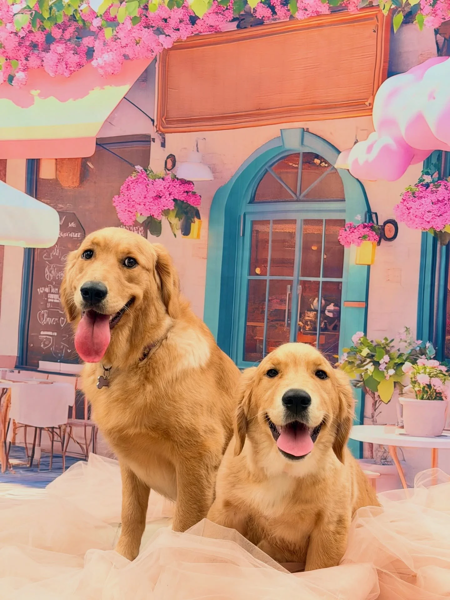 Marley &amp; Mabel 💛