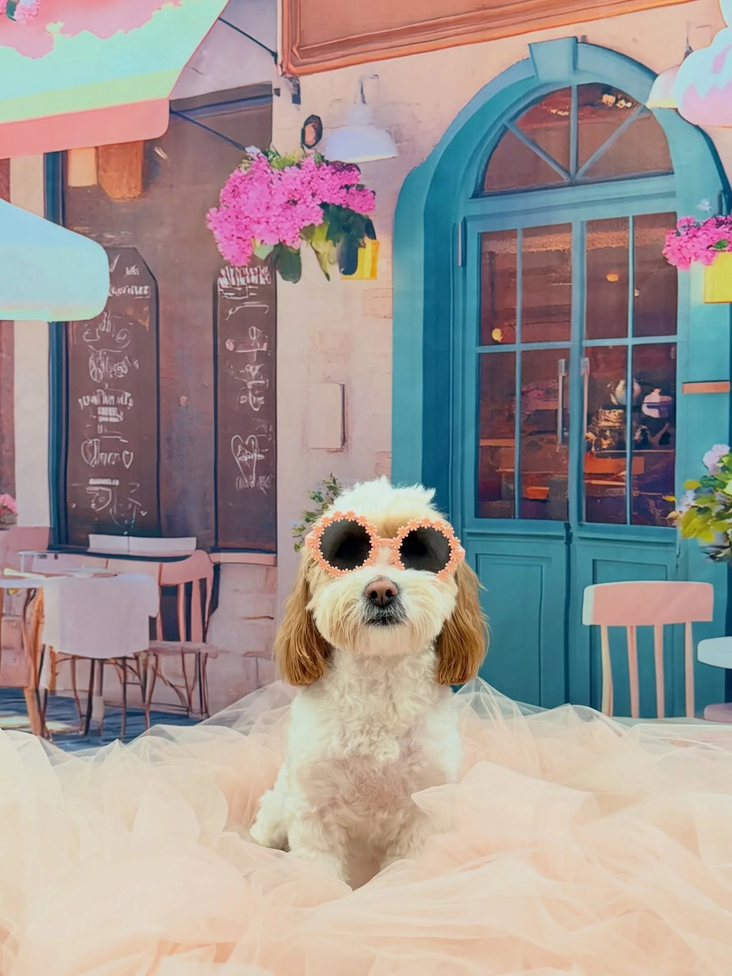 Miss Peaches aka Henry&rsquo;s gf