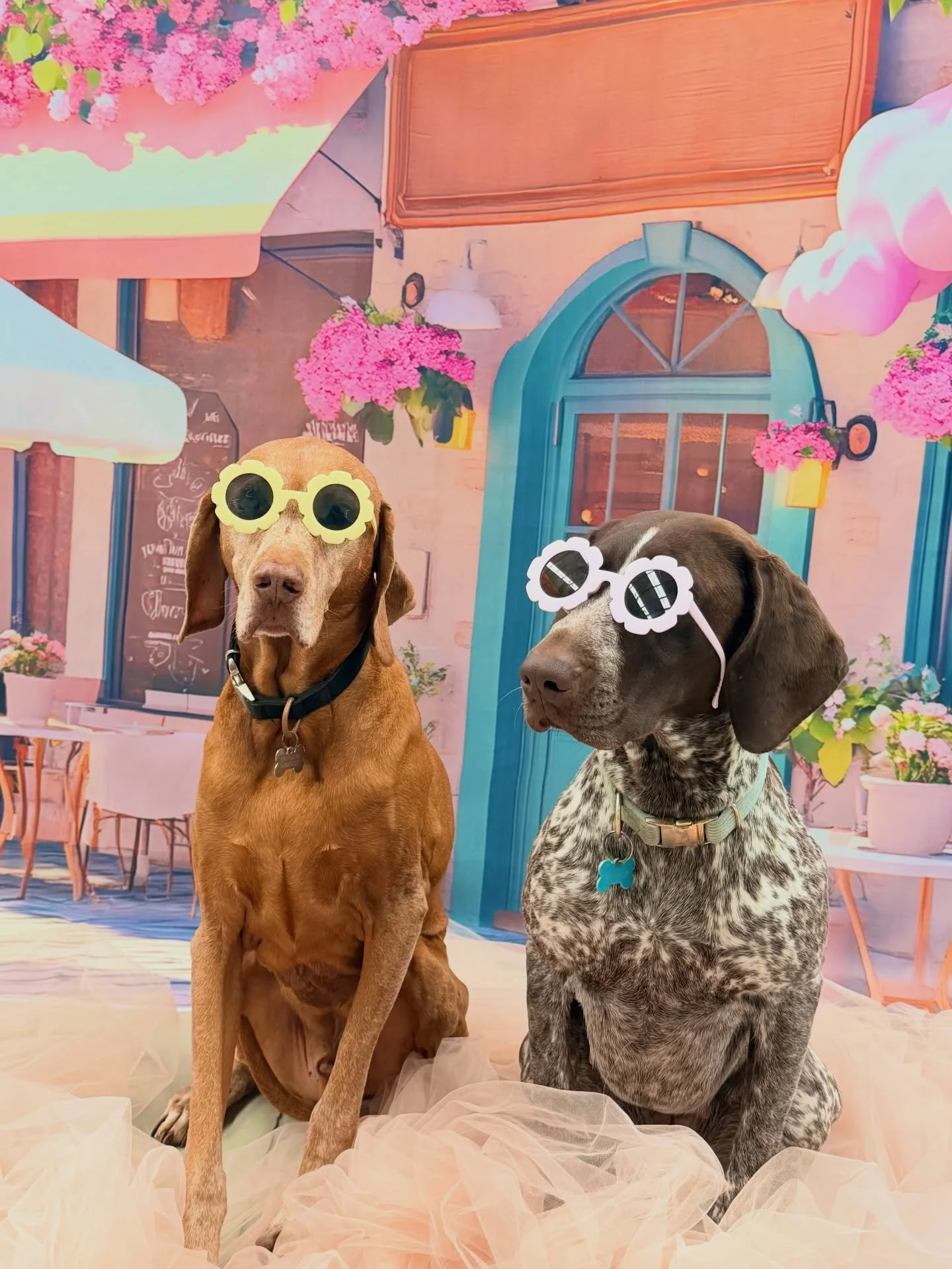 Maverick &amp; Bailey 🍸